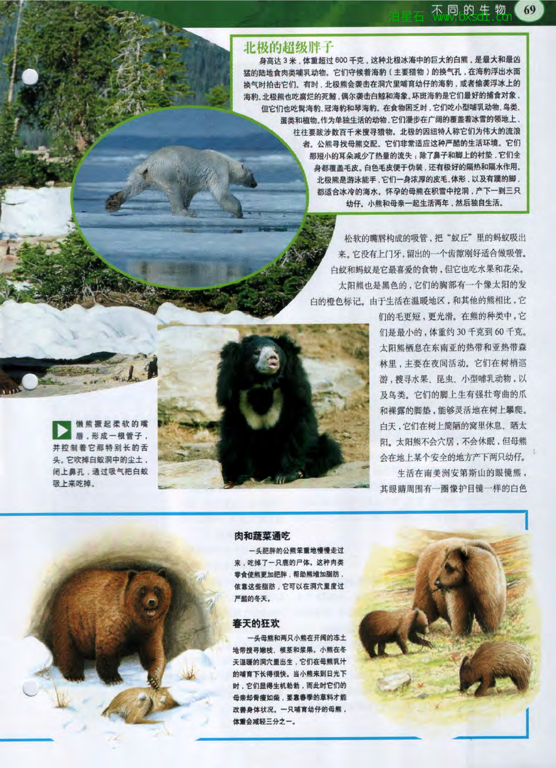 发现之旅--家庭趣味图解百科丛书10.pdf 第5页