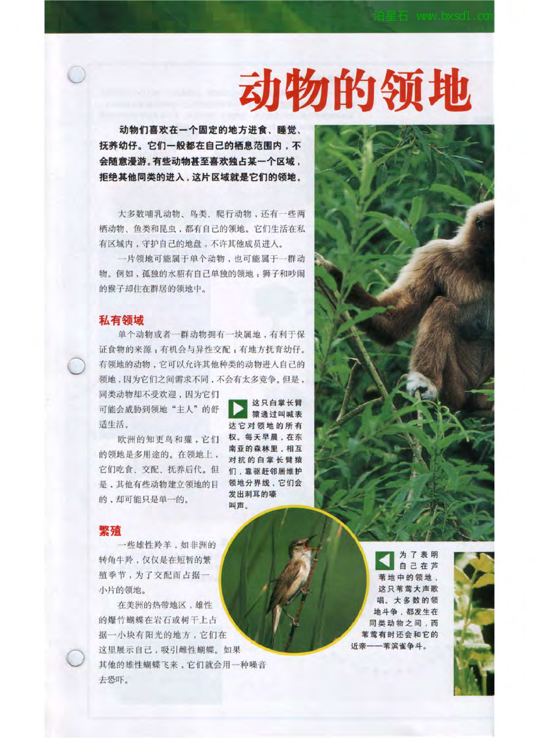 发现之旅--家庭趣味图解百科丛书09.pdf 第3页