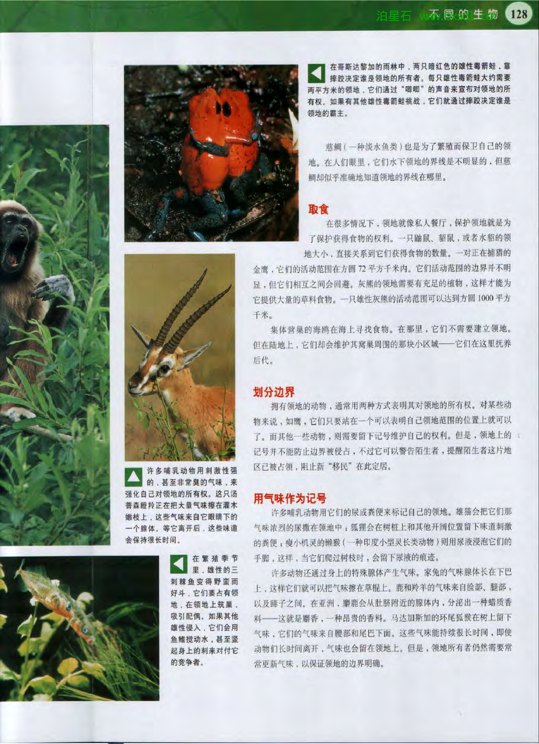 发现之旅--家庭趣味图解百科丛书09.pdf 第4页