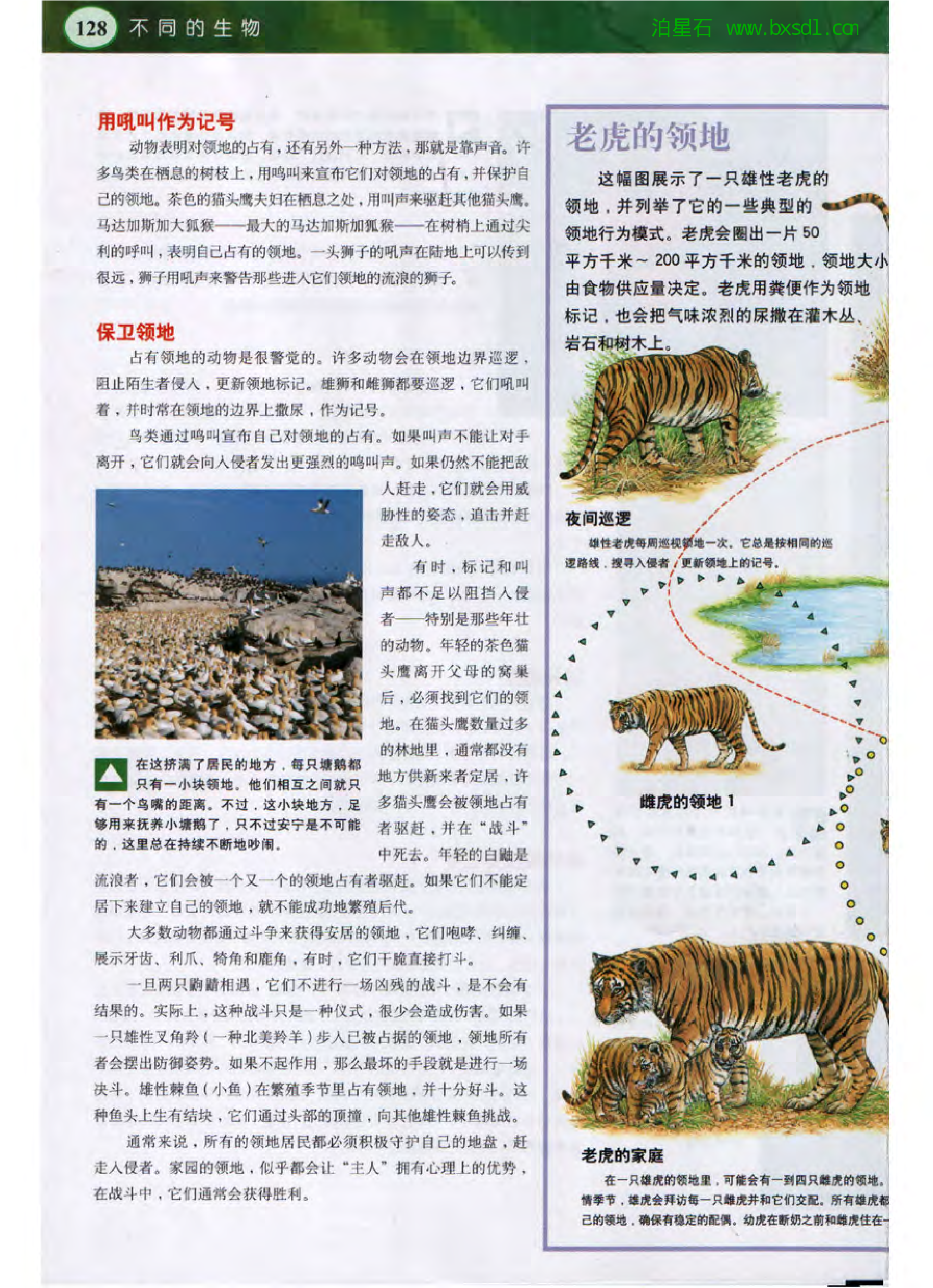 发现之旅--家庭趣味图解百科丛书09.pdf 第5页