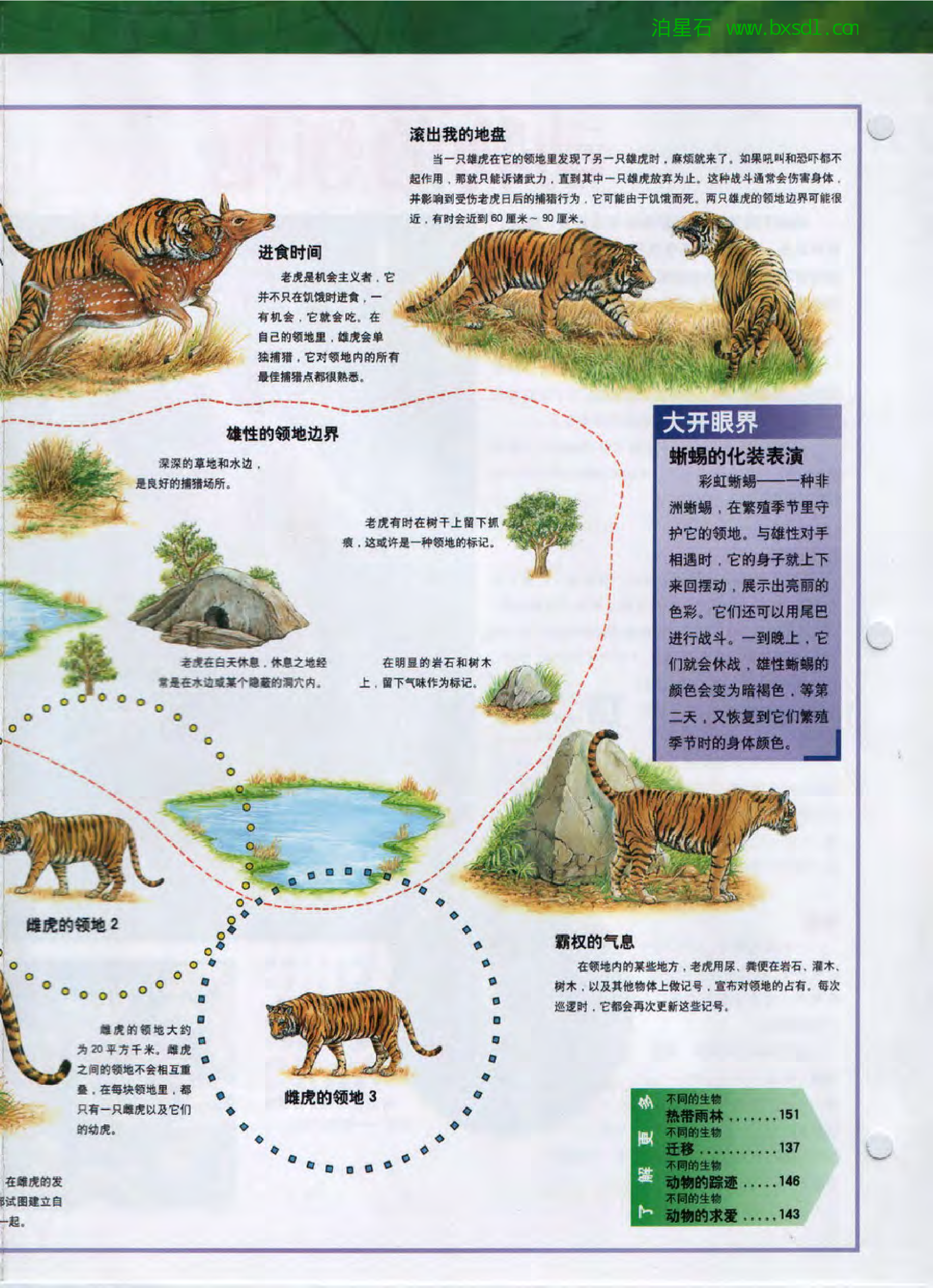 发现之旅--家庭趣味图解百科丛书09.pdf 第6页