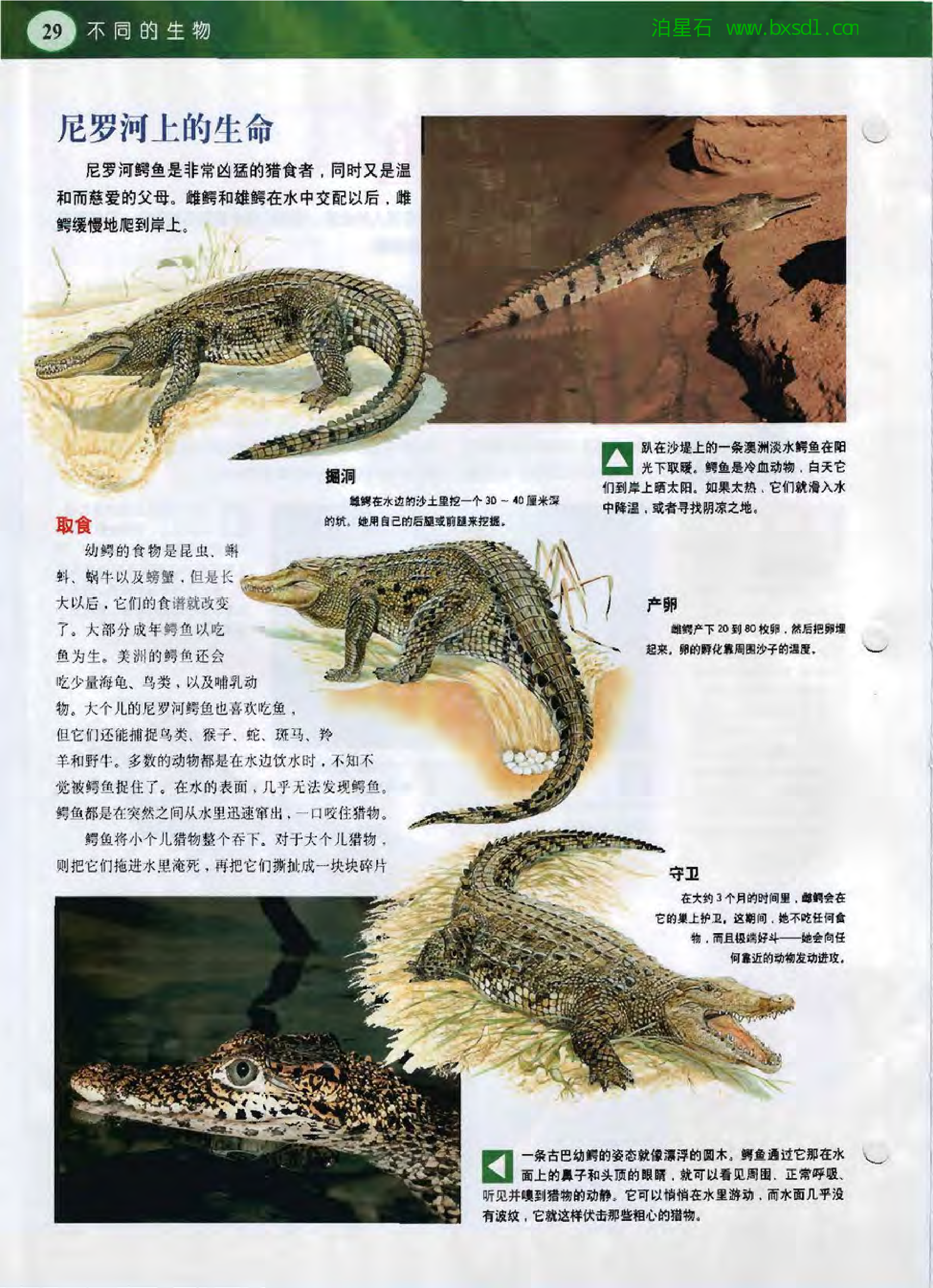 发现之旅--家庭趣味图解百科丛书08.pdf 第4页