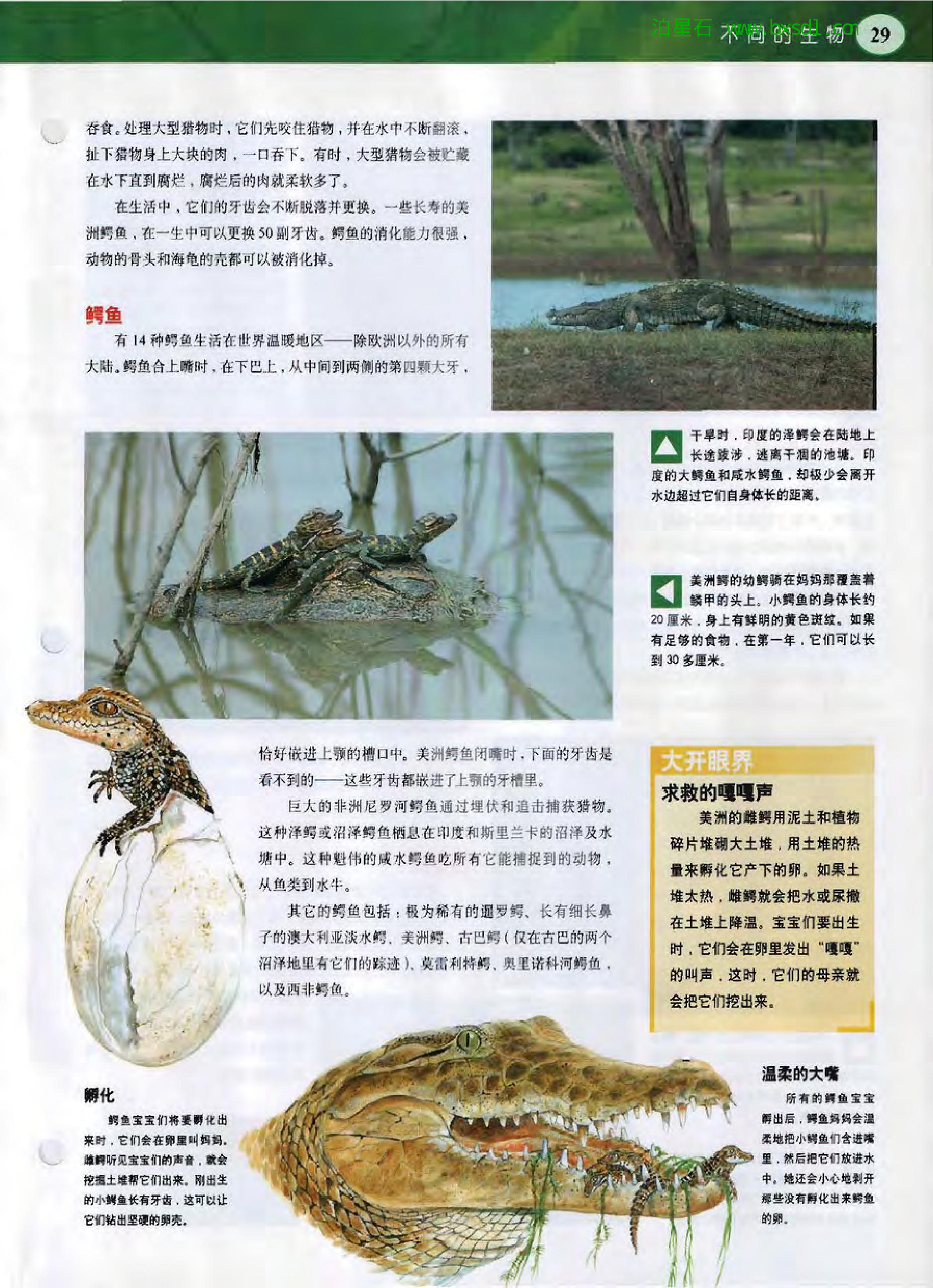 发现之旅--家庭趣味图解百科丛书08.pdf 第5页