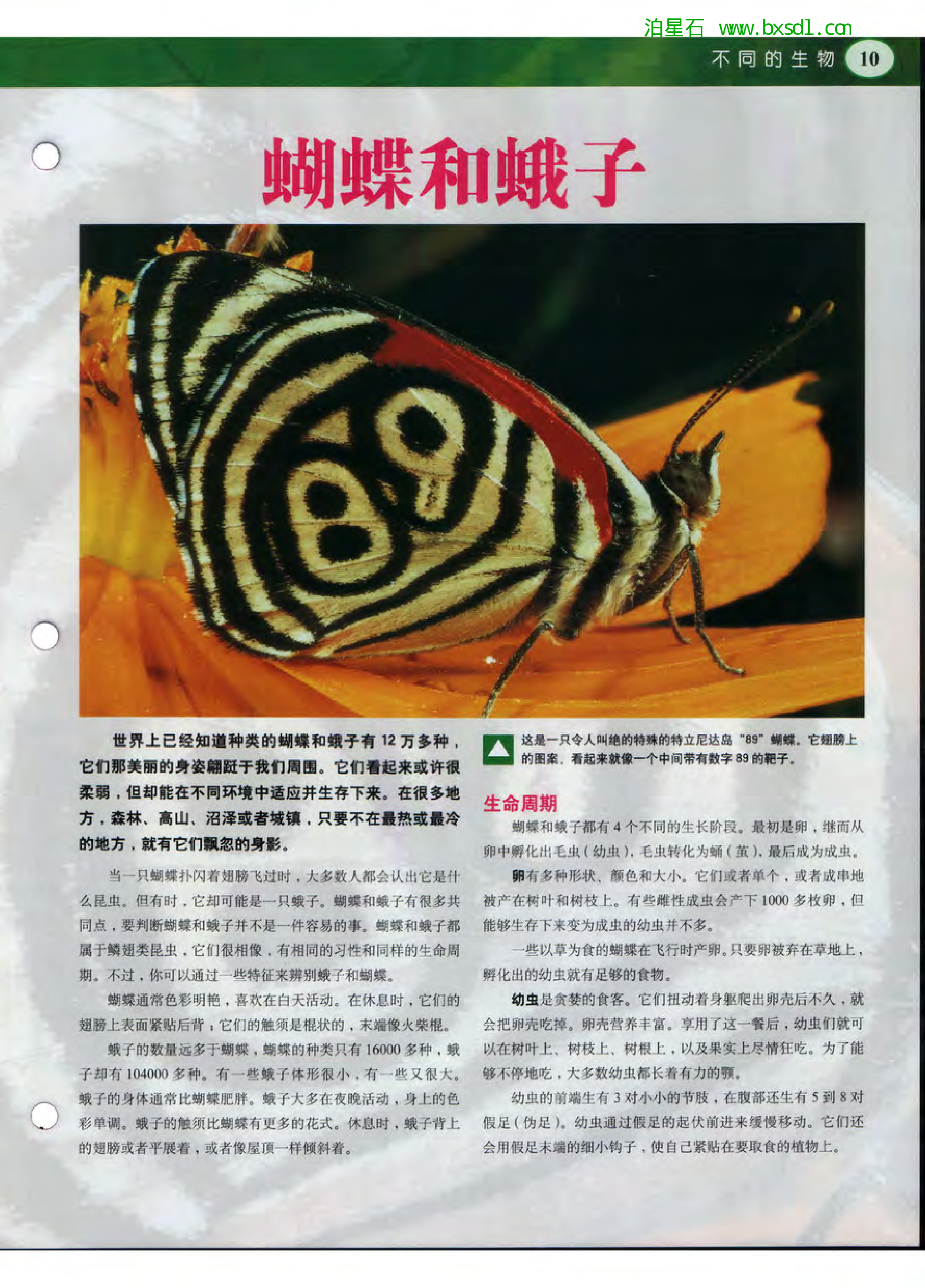 发现之旅--家庭趣味图解百科丛书07.pdf 第3页