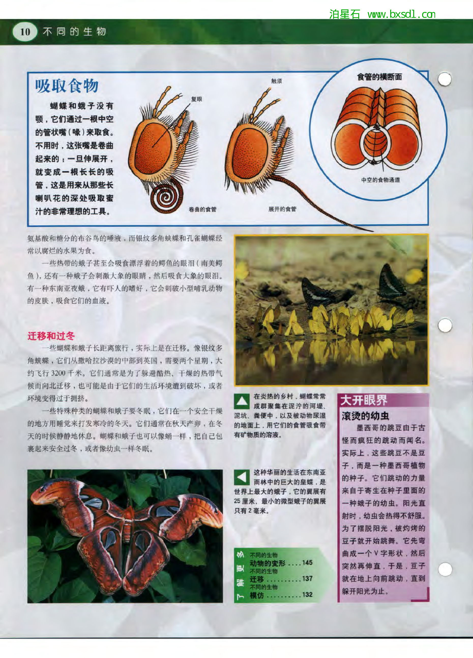 发现之旅--家庭趣味图解百科丛书07.pdf 第4页