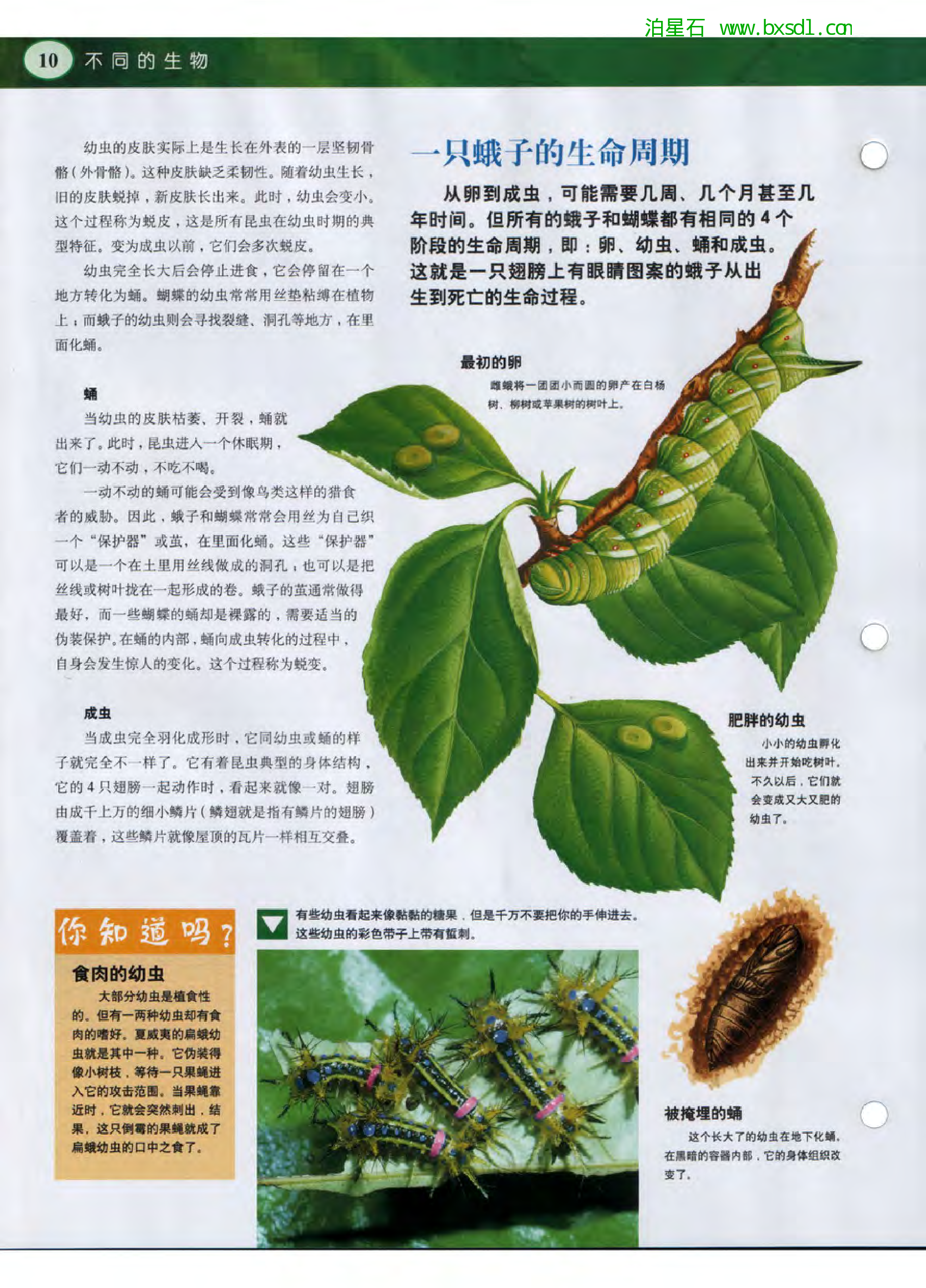 发现之旅--家庭趣味图解百科丛书07.pdf 第5页