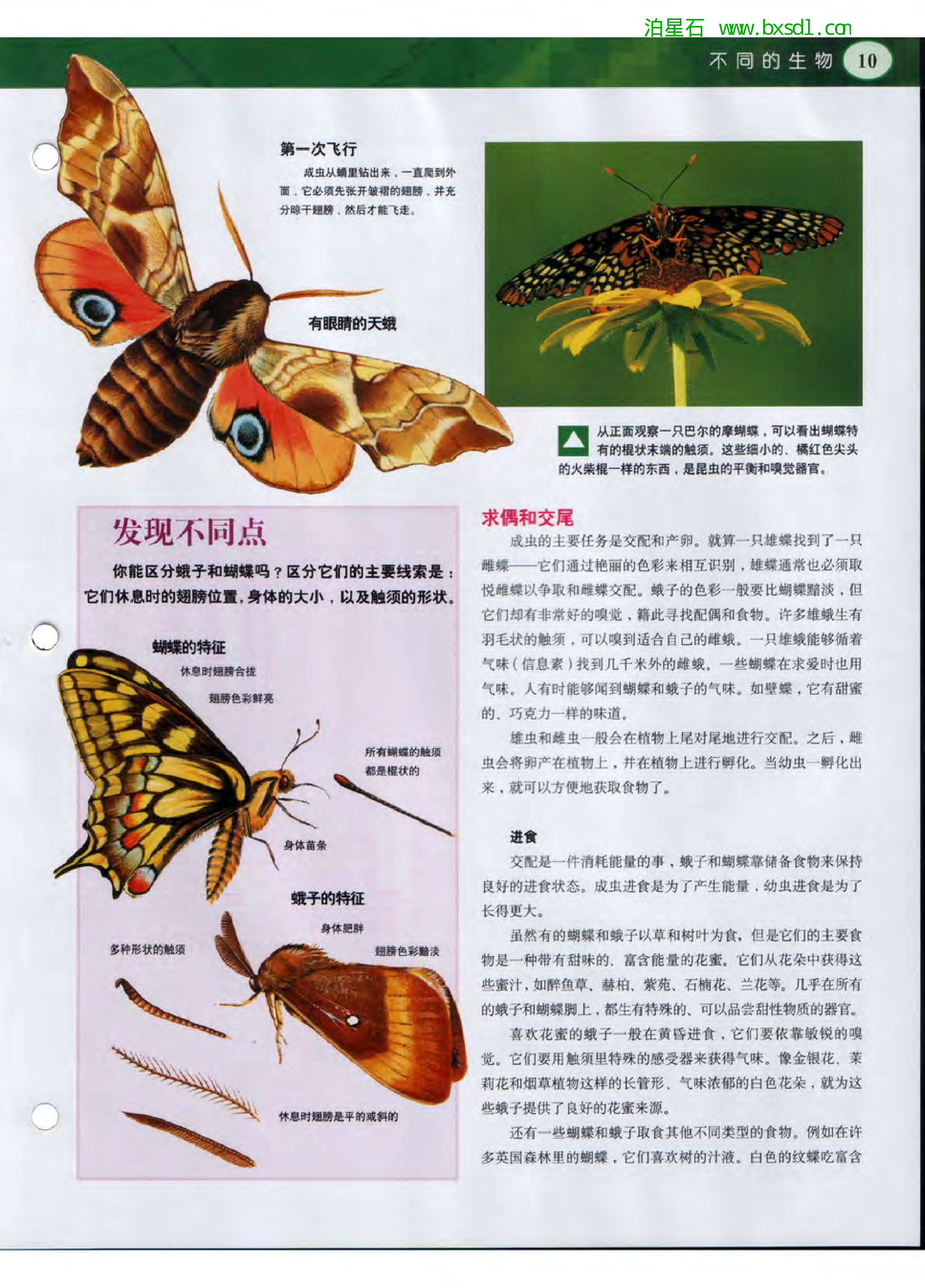 发现之旅--家庭趣味图解百科丛书07.pdf 第6页