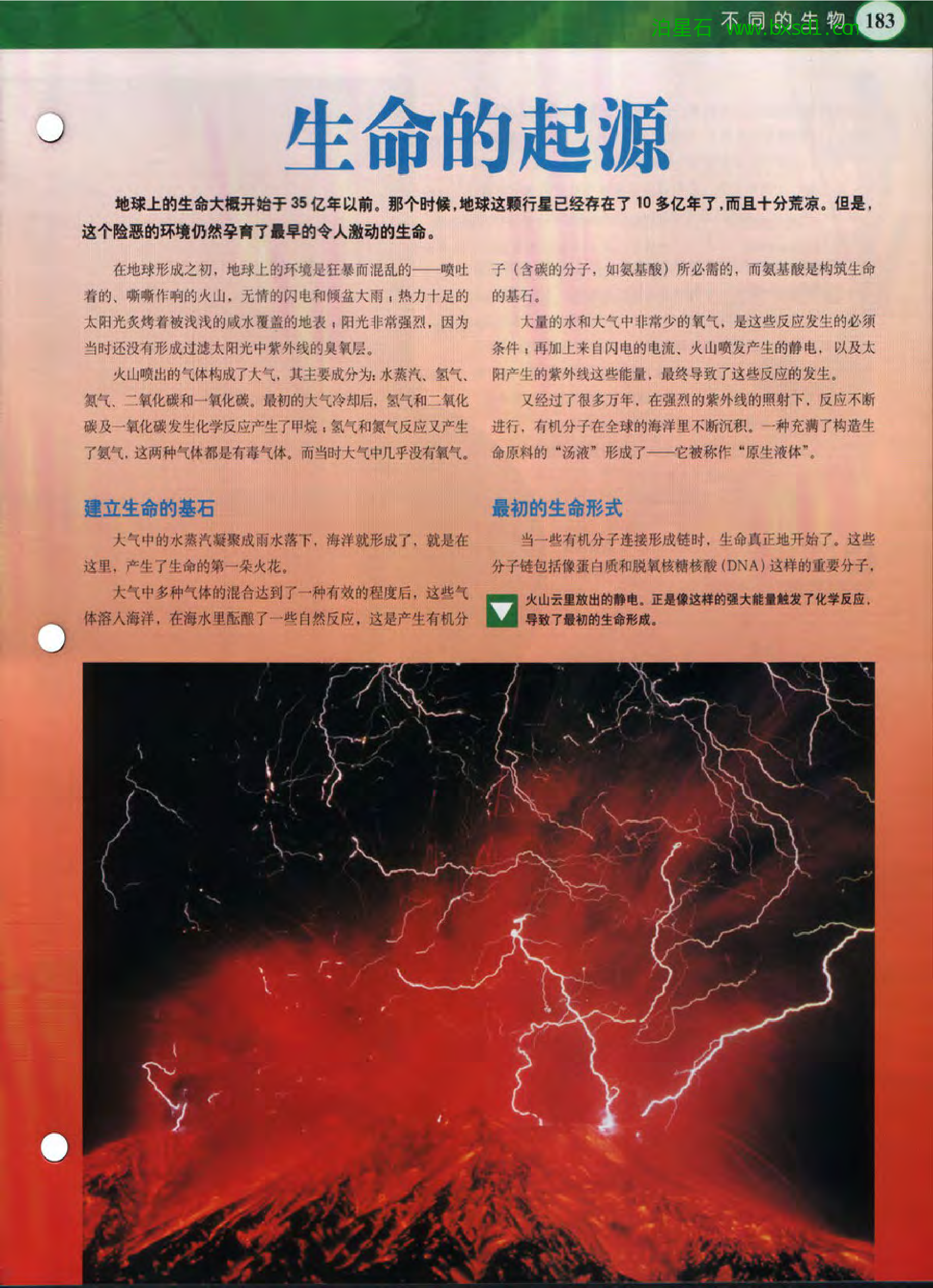 发现之旅--家庭趣味图解百科丛书06.pdf 第3页