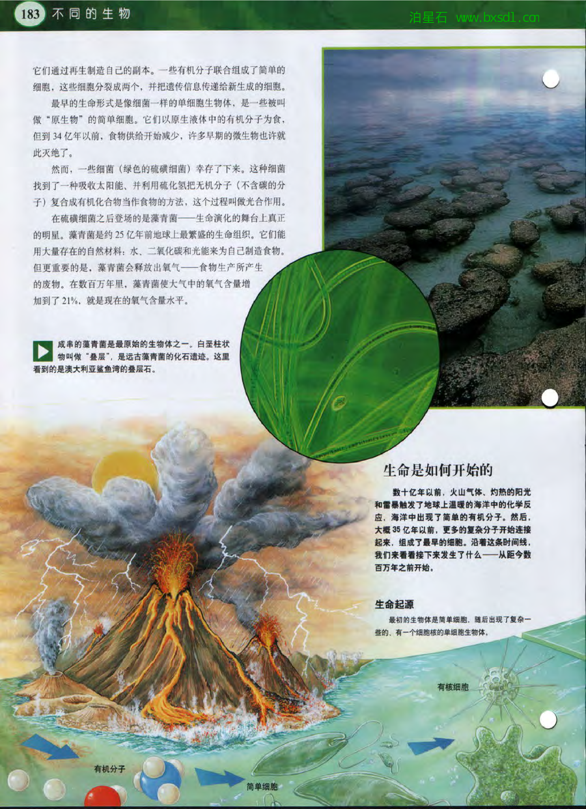 发现之旅--家庭趣味图解百科丛书06.pdf 第4页