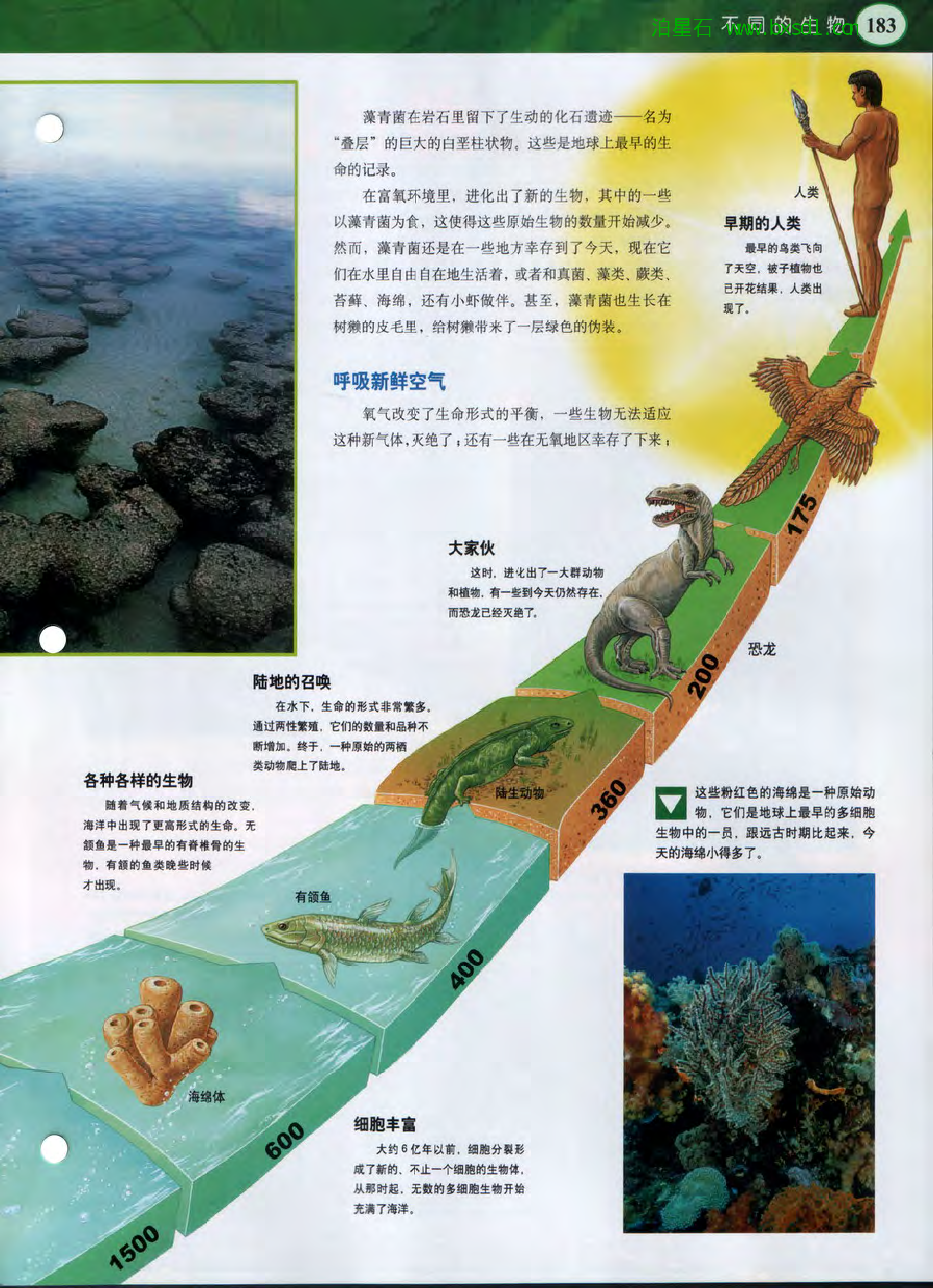 发现之旅--家庭趣味图解百科丛书06.pdf 第5页