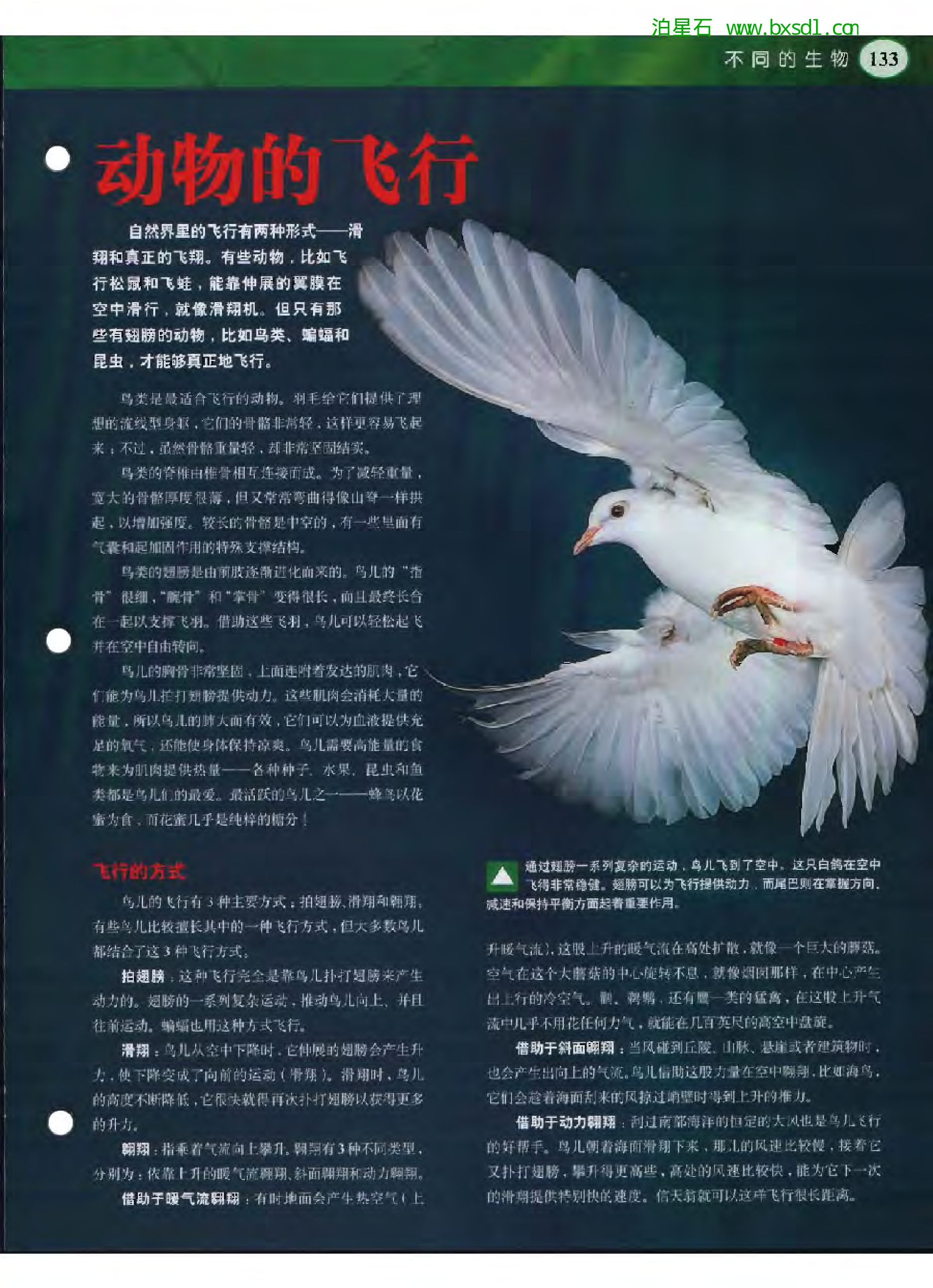 发现之旅--家庭趣味图解百科丛书05.pdf 第3页