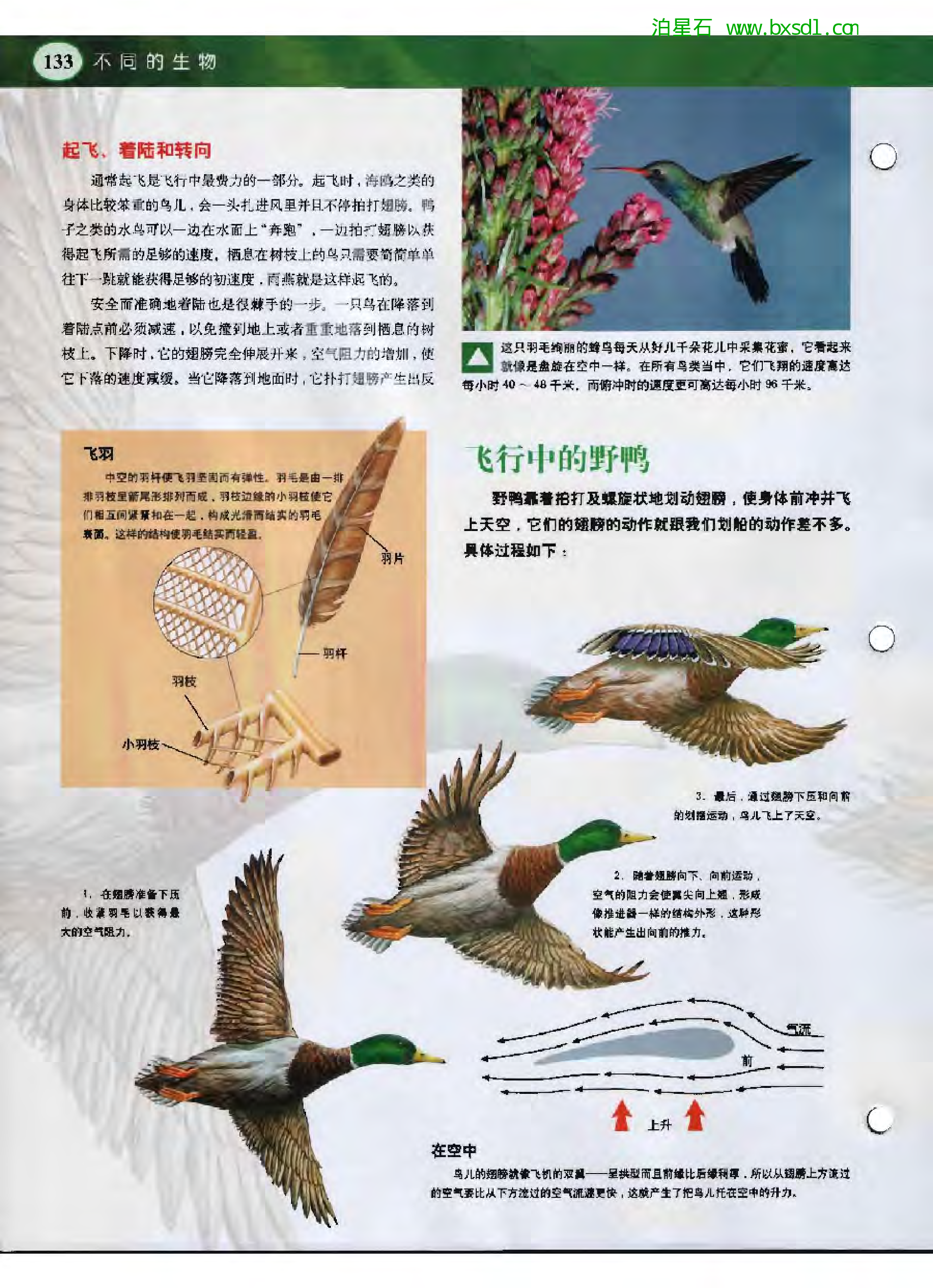 发现之旅--家庭趣味图解百科丛书05.pdf 第4页