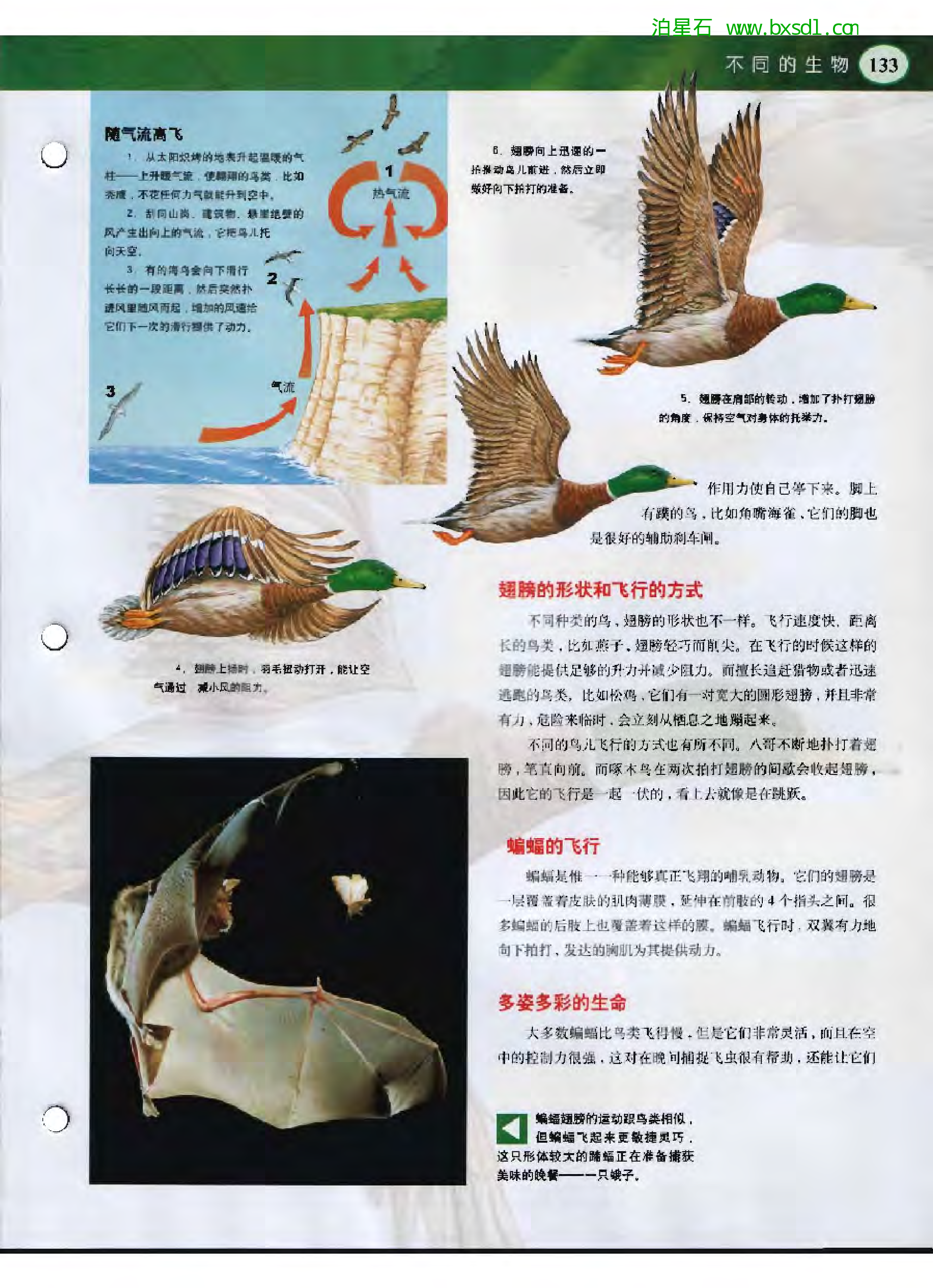 发现之旅--家庭趣味图解百科丛书05.pdf 第5页