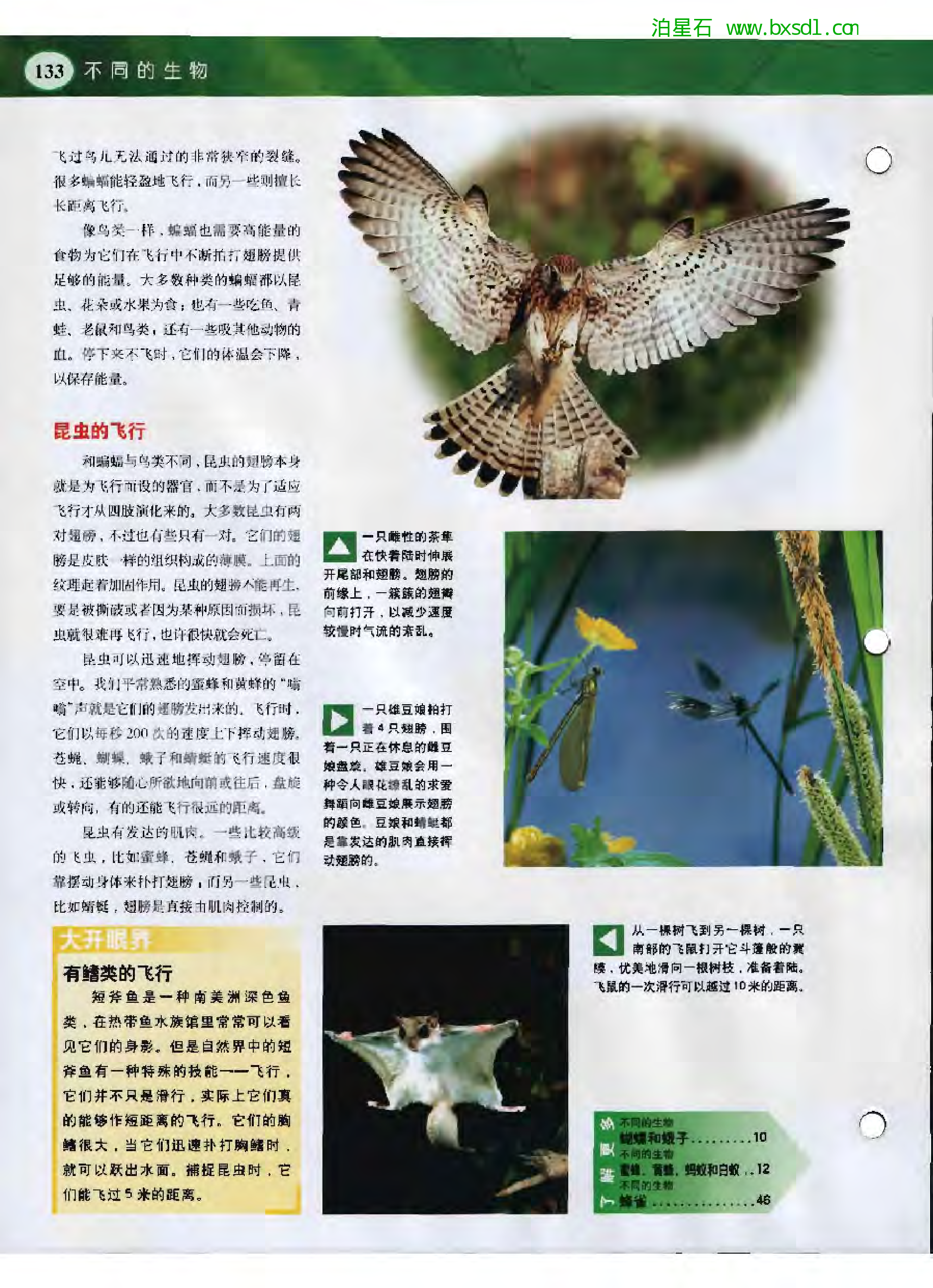 发现之旅--家庭趣味图解百科丛书05.pdf 第6页