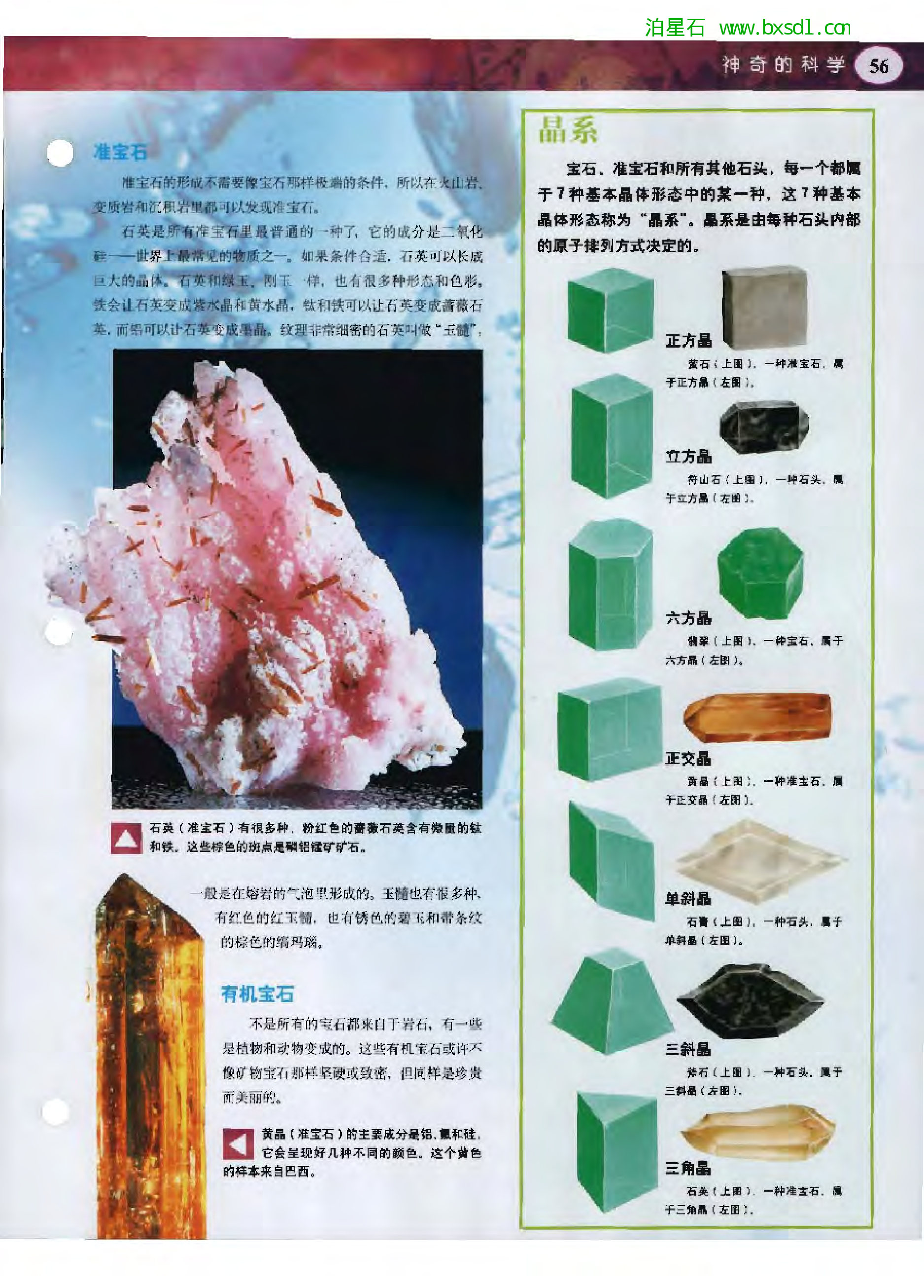 发现之旅--家庭趣味图解百科丛书04.pdf 第5页
