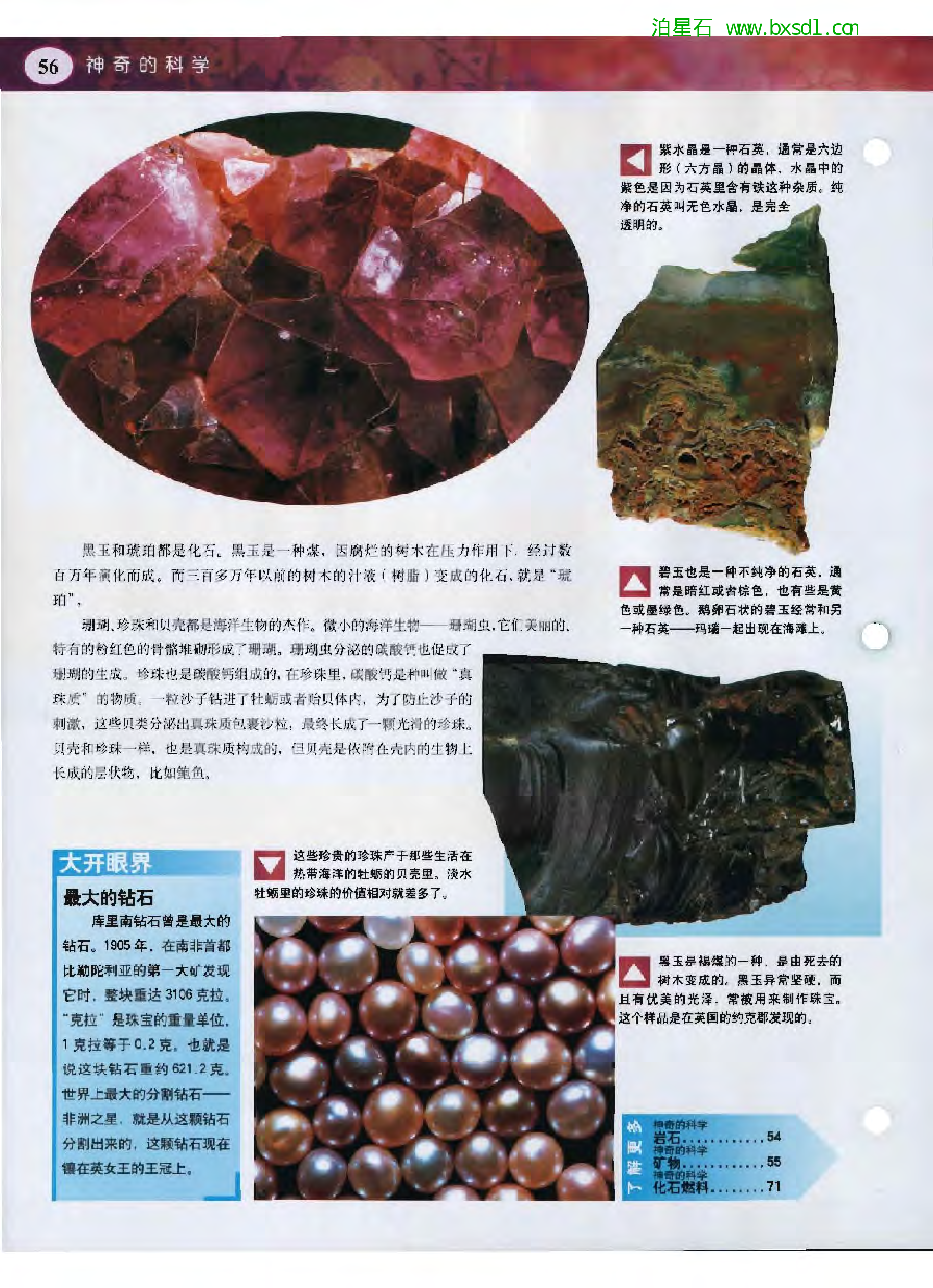 发现之旅--家庭趣味图解百科丛书04.pdf 第6页