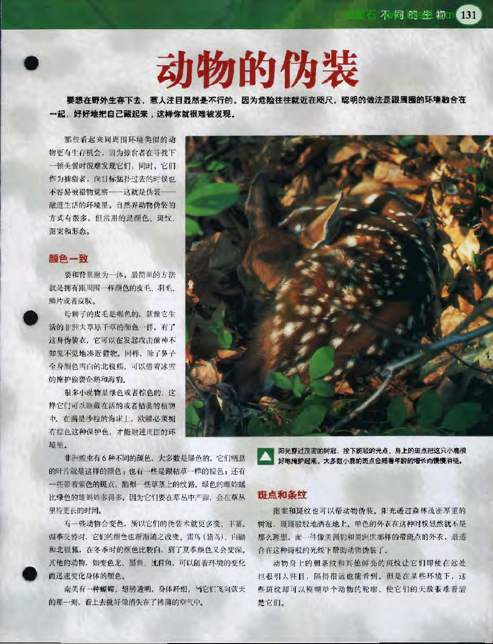 发现之旅--家庭趣味图解百科丛书03.pdf 第3页