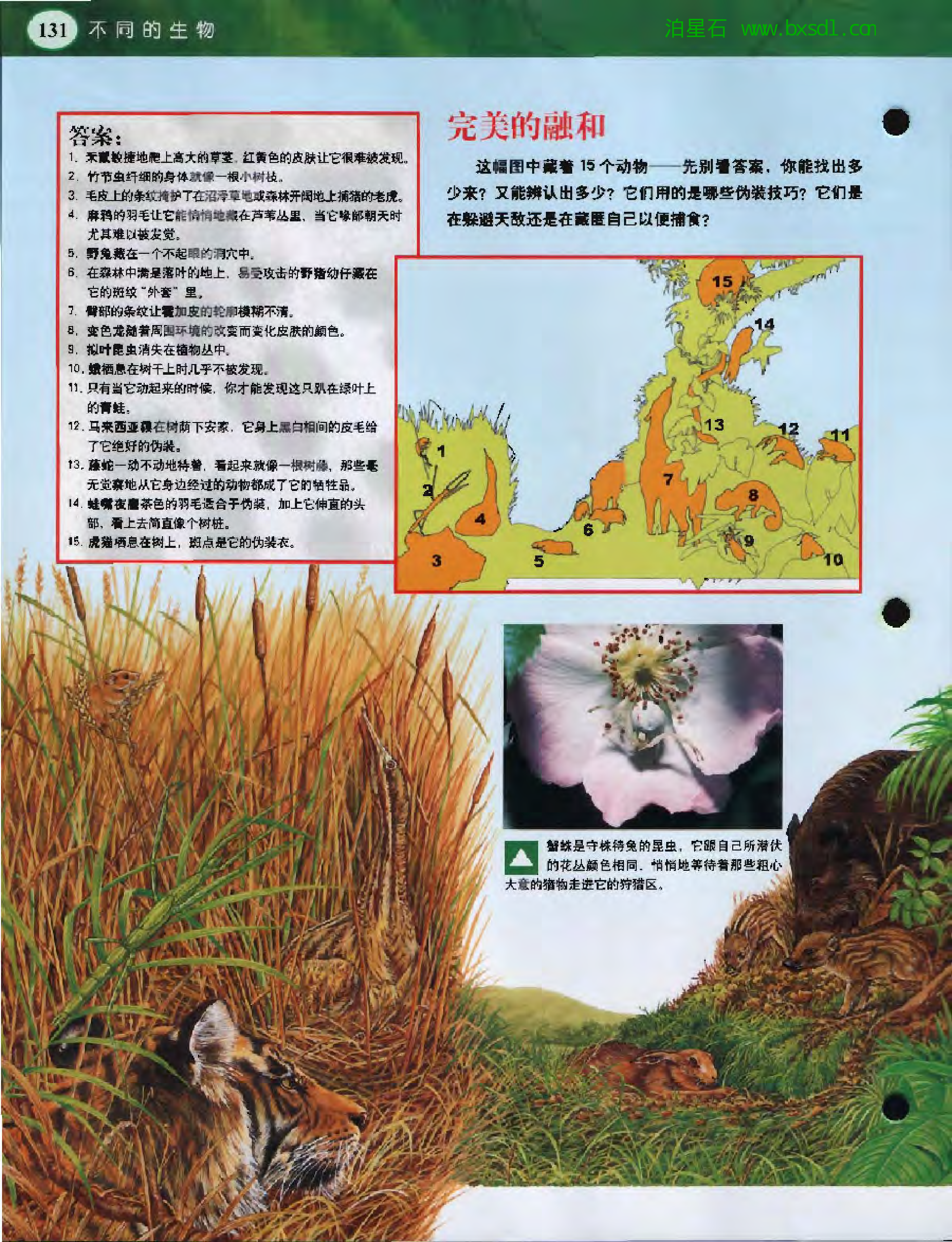 发现之旅--家庭趣味图解百科丛书03.pdf 第4页