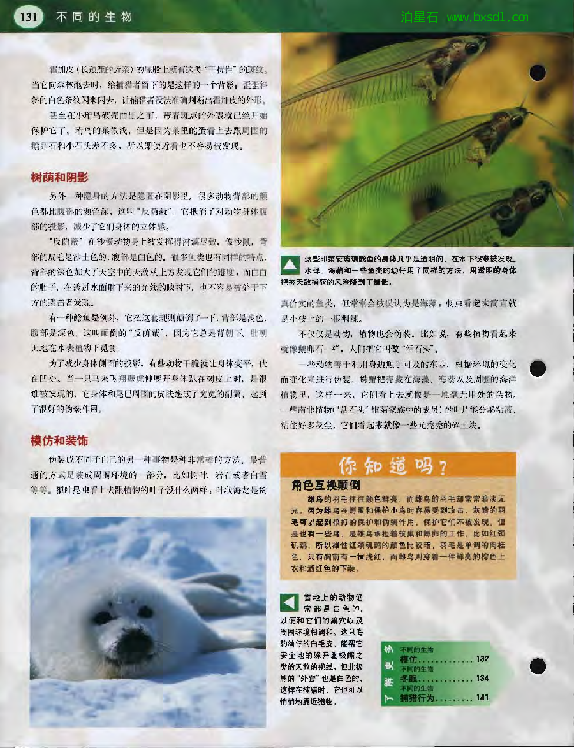 发现之旅--家庭趣味图解百科丛书03.pdf 第6页