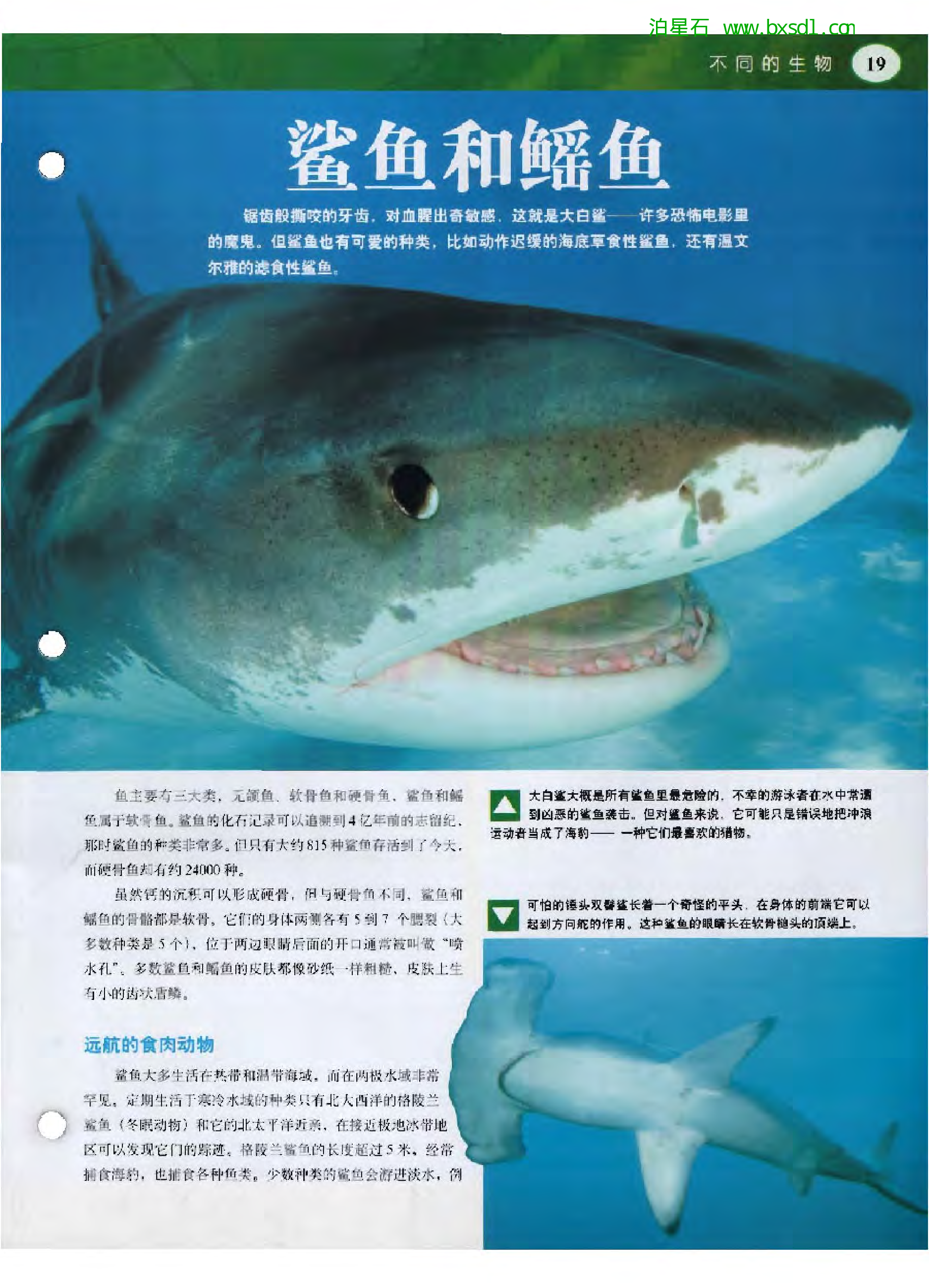 发现之旅--家庭趣味图解百科丛书02.pdf 第3页