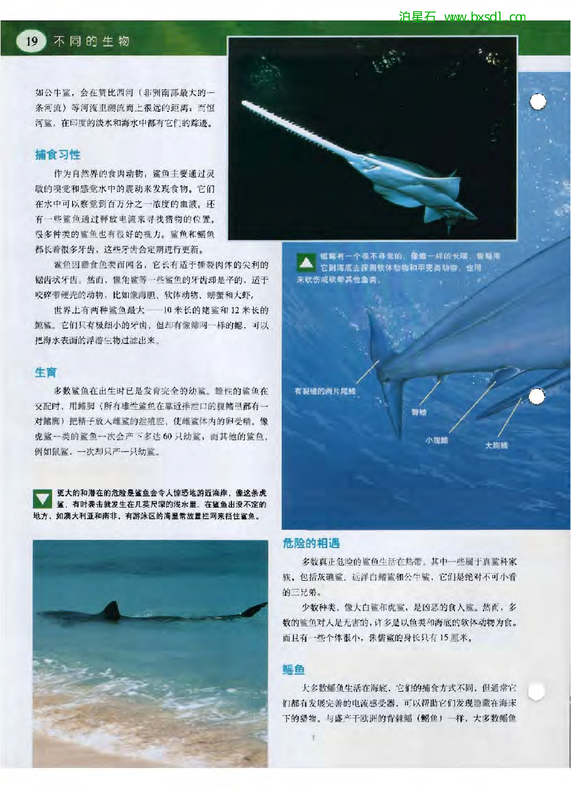 发现之旅--家庭趣味图解百科丛书02.pdf 第4页