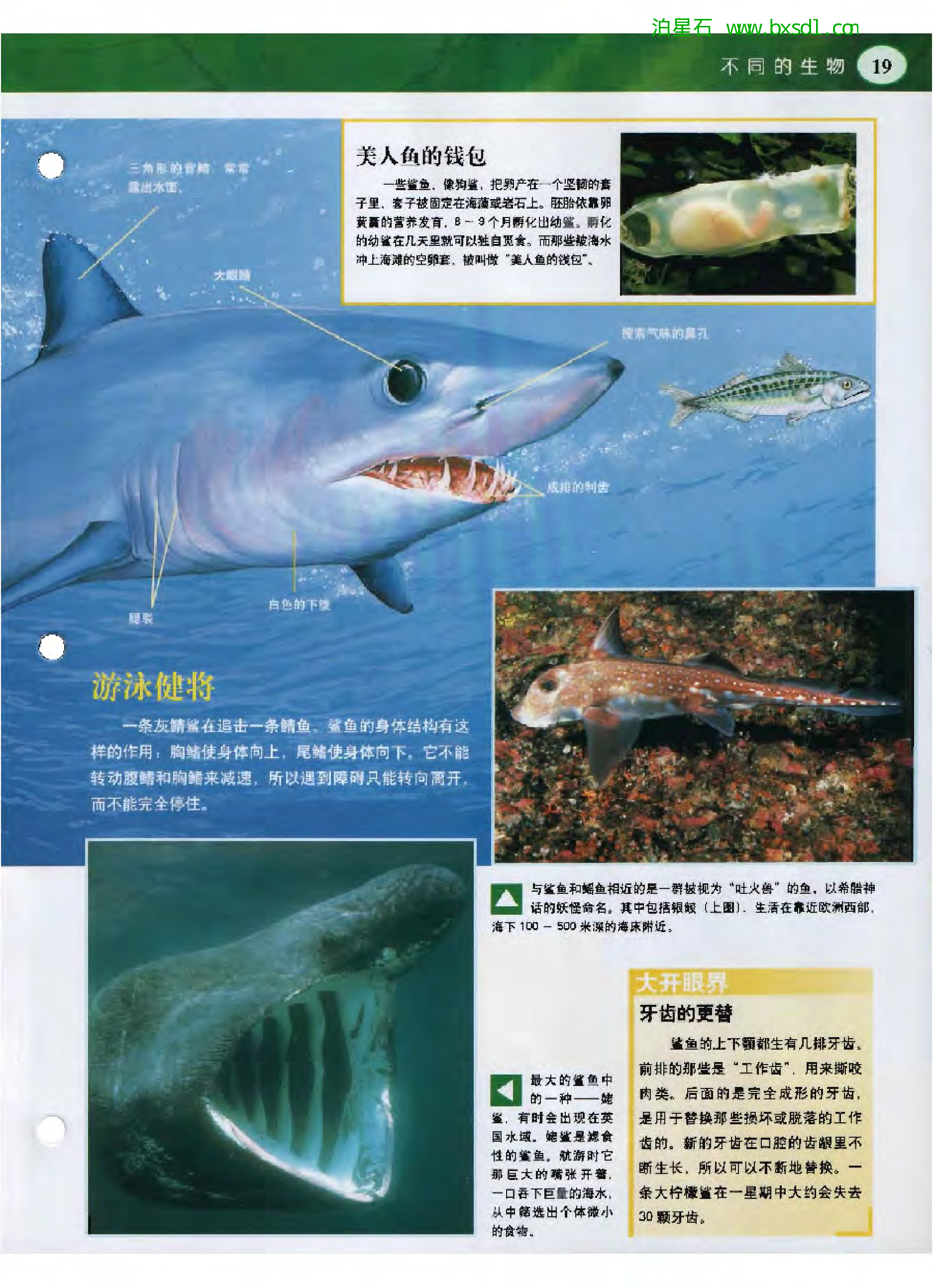 发现之旅--家庭趣味图解百科丛书02.pdf 第5页