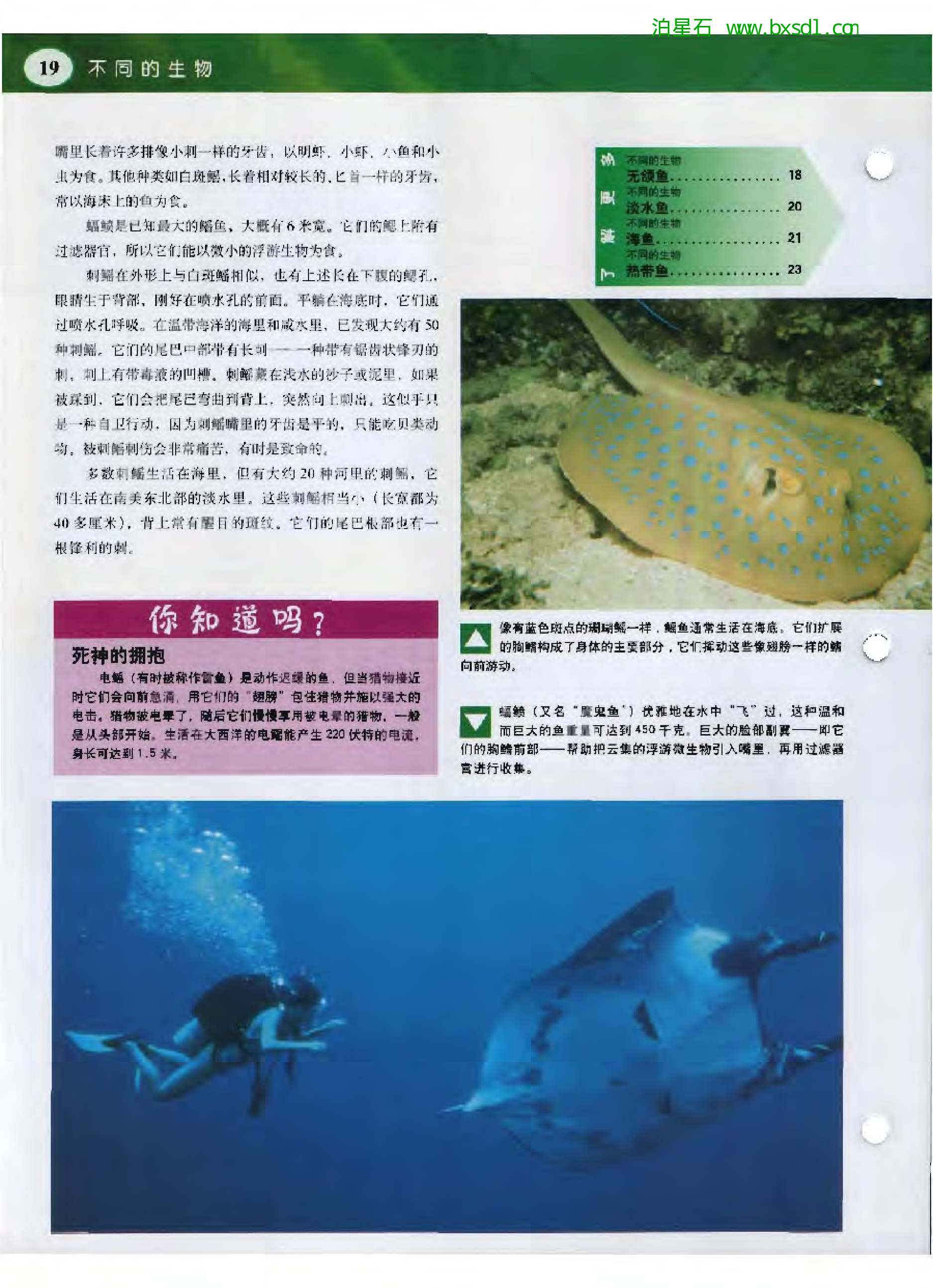 发现之旅--家庭趣味图解百科丛书02.pdf 第6页