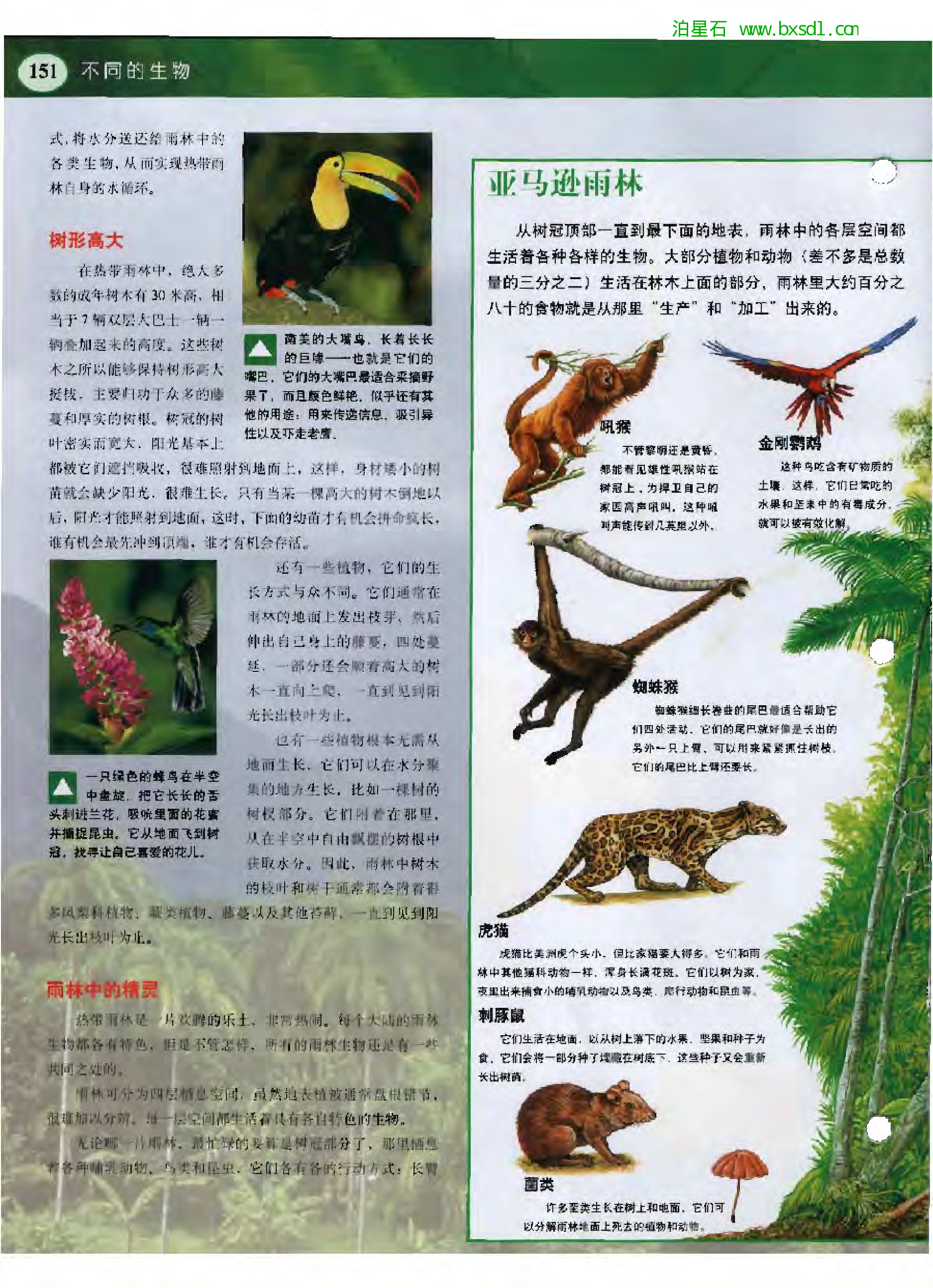 发现之旅--家庭趣味图解百科丛书01.pdf 第4页