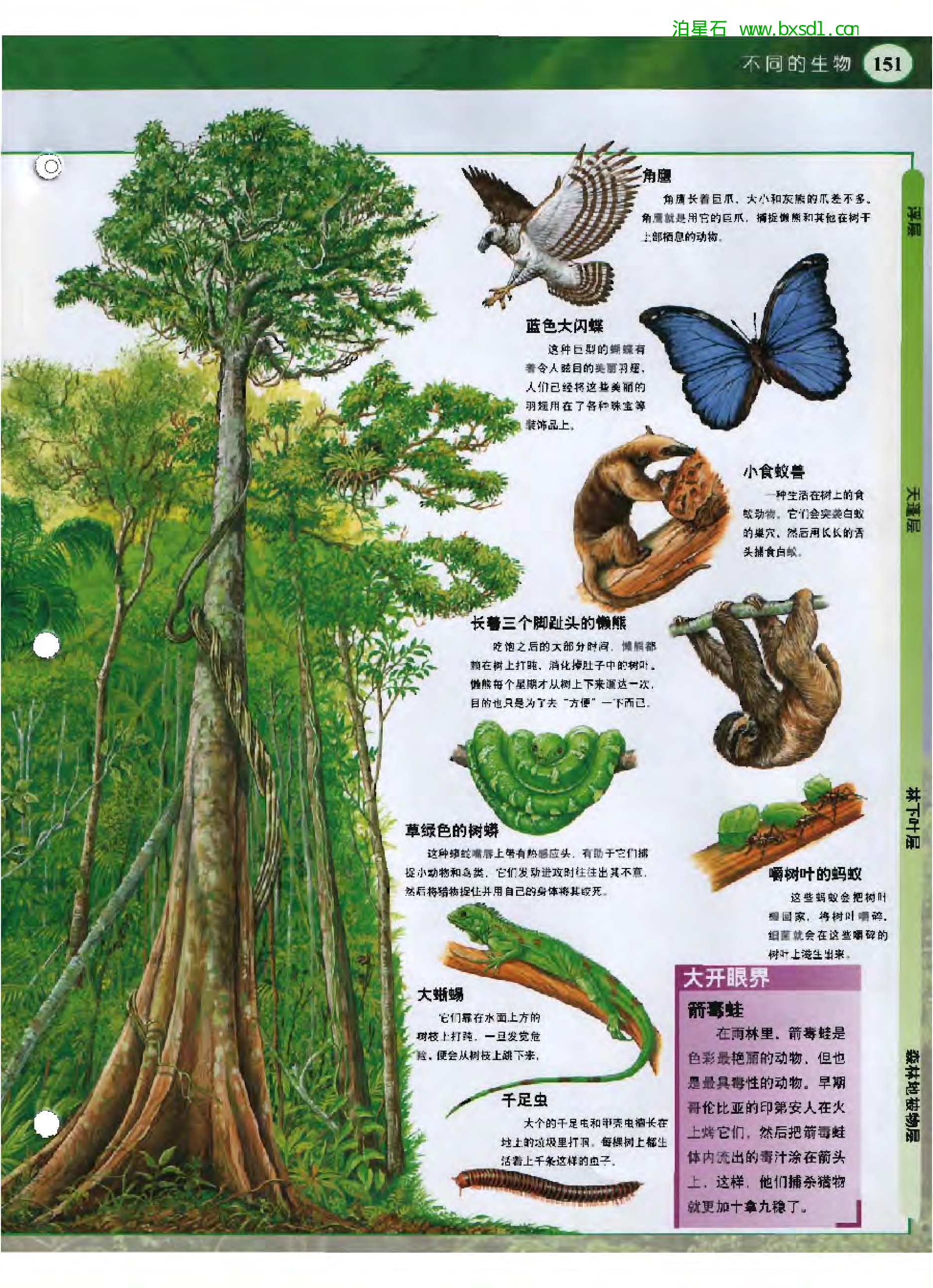 发现之旅--家庭趣味图解百科丛书01.pdf 第5页