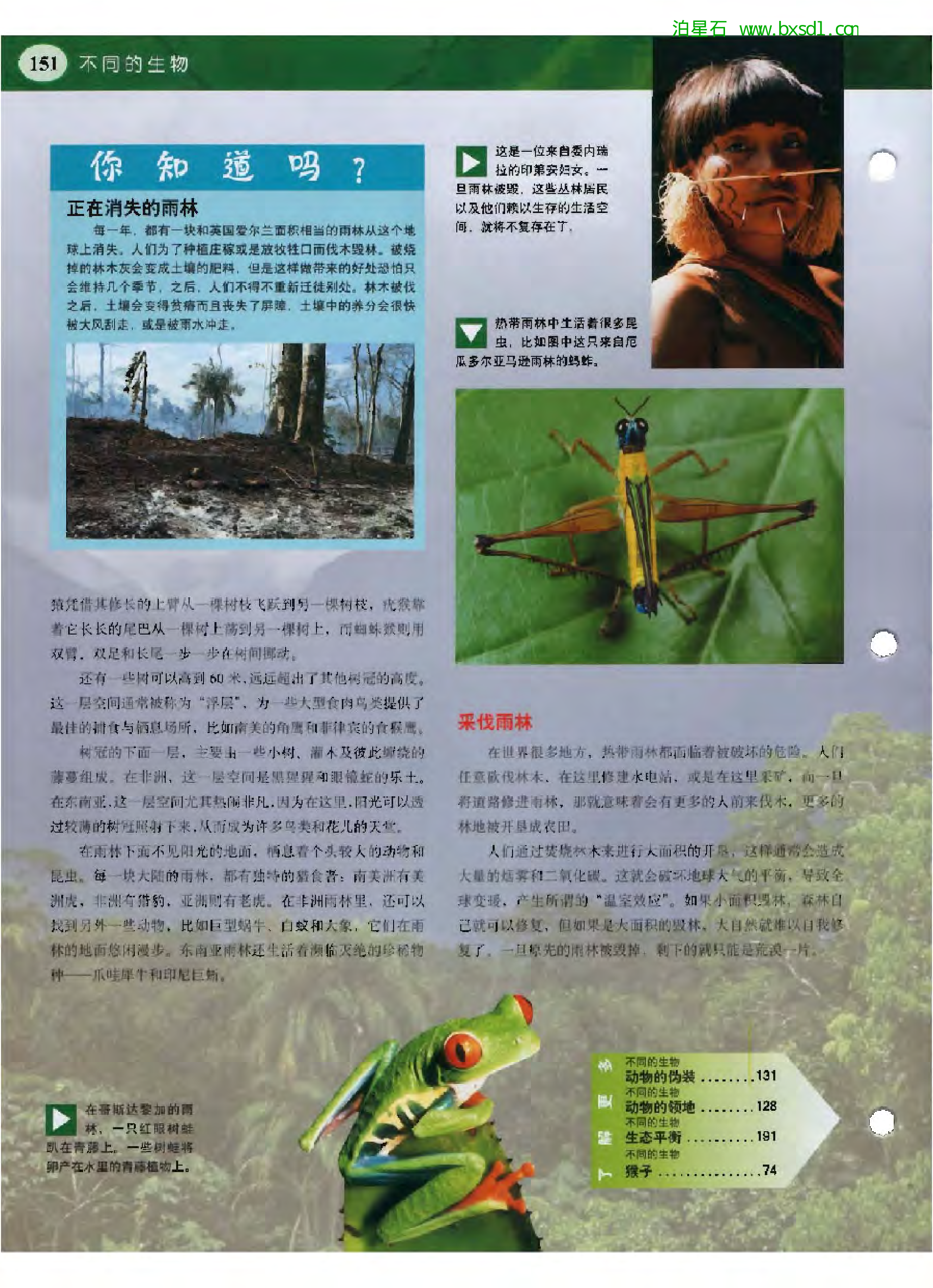 发现之旅--家庭趣味图解百科丛书01.pdf 第6页