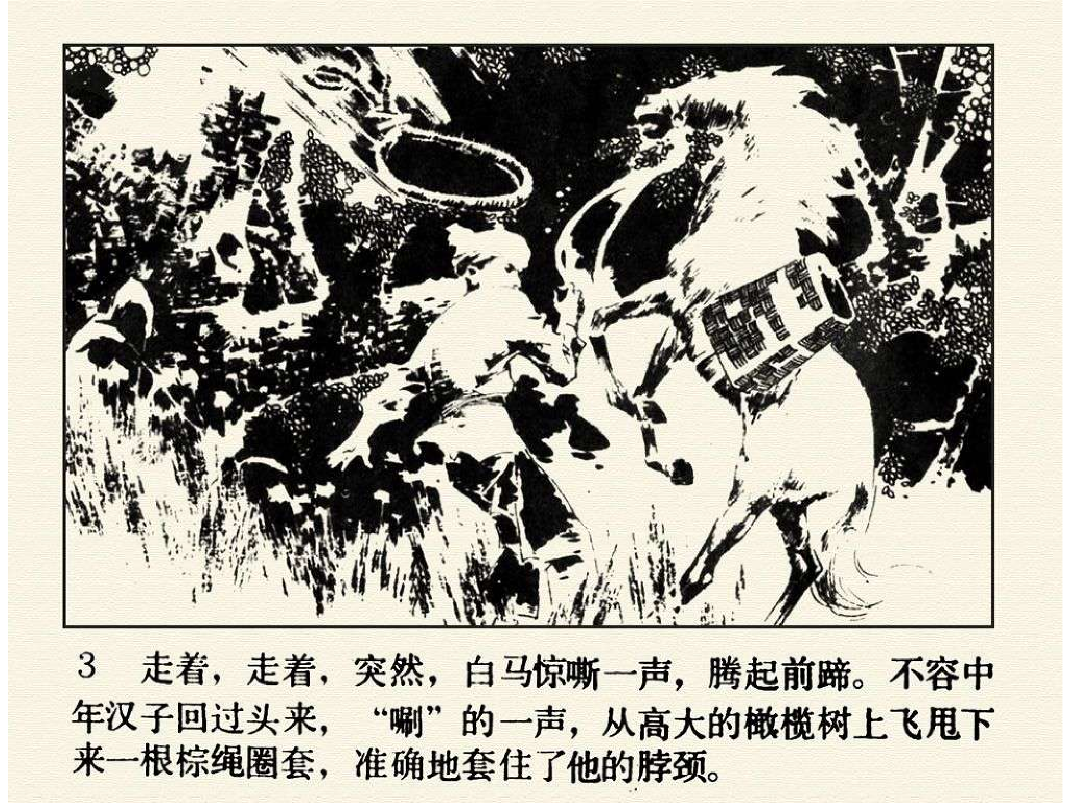 293恐怖的森林.pdf 第6页