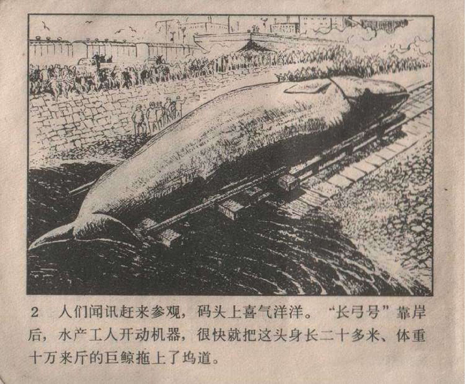 080捕鲸记.pdf 第6页