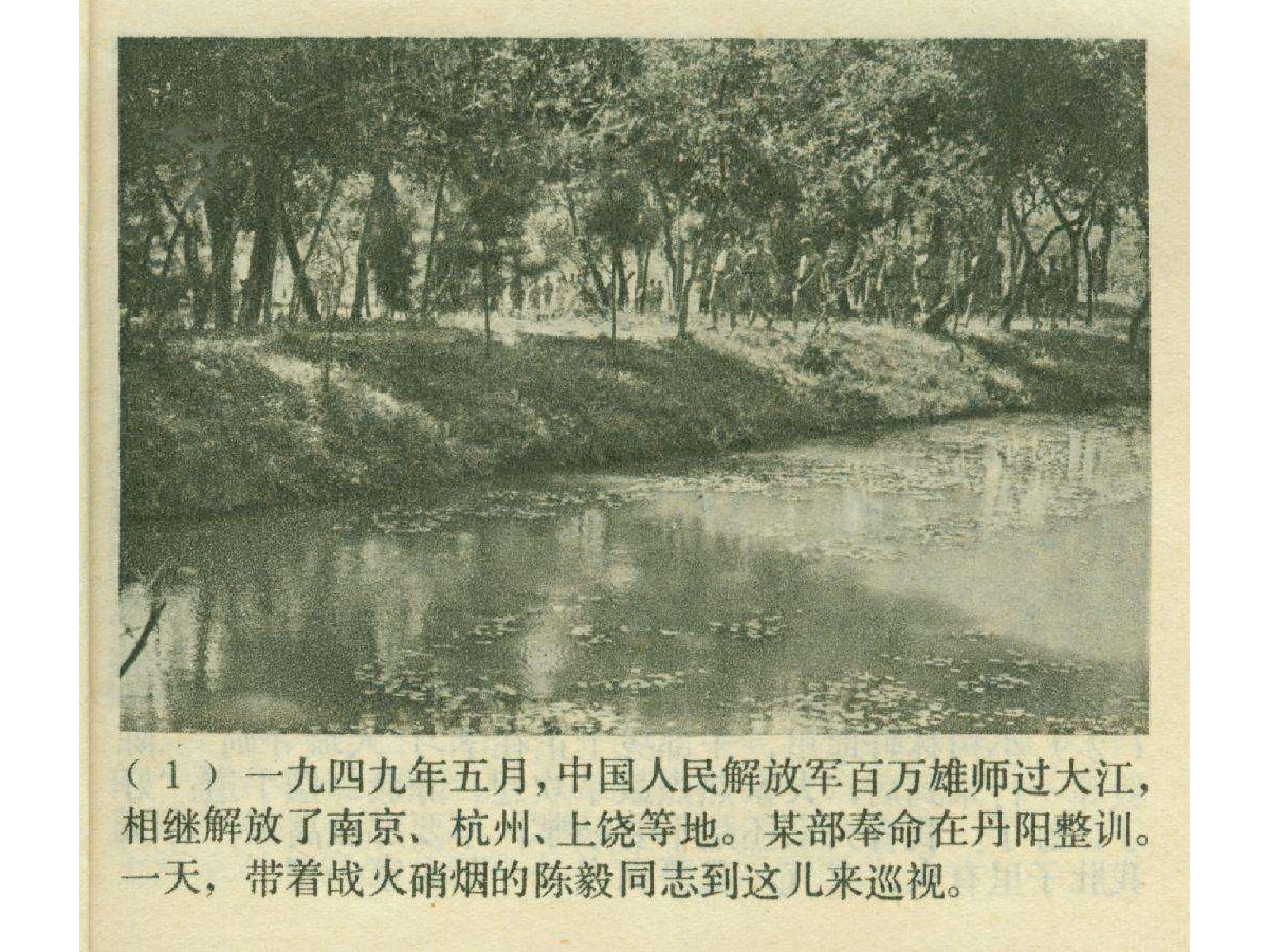 481陈毅市长.pdf 第4页