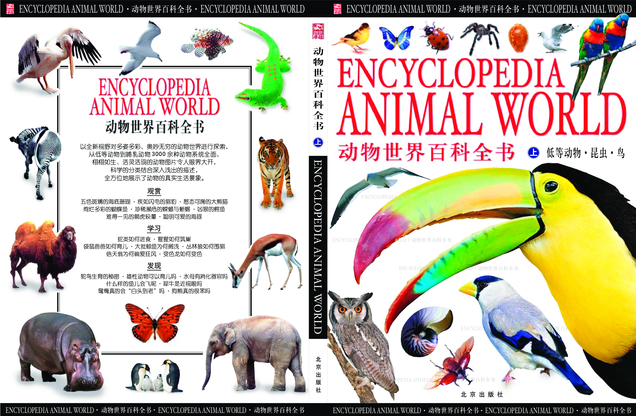 动物世界百科全书.pdf 第2页