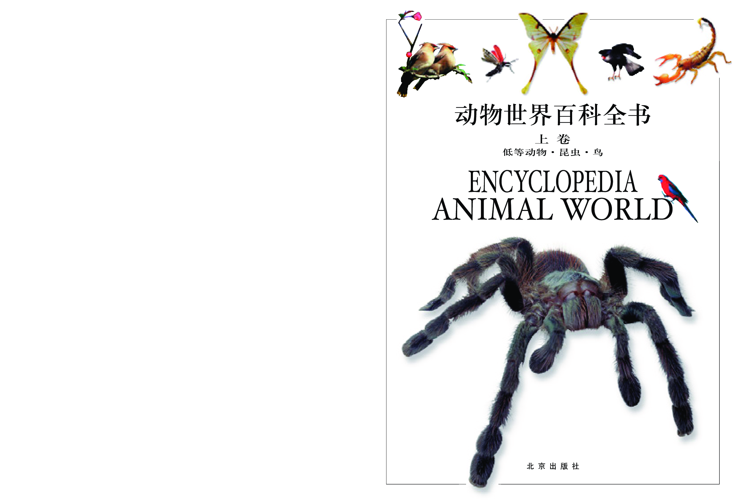 动物世界百科全书.pdf 第3页