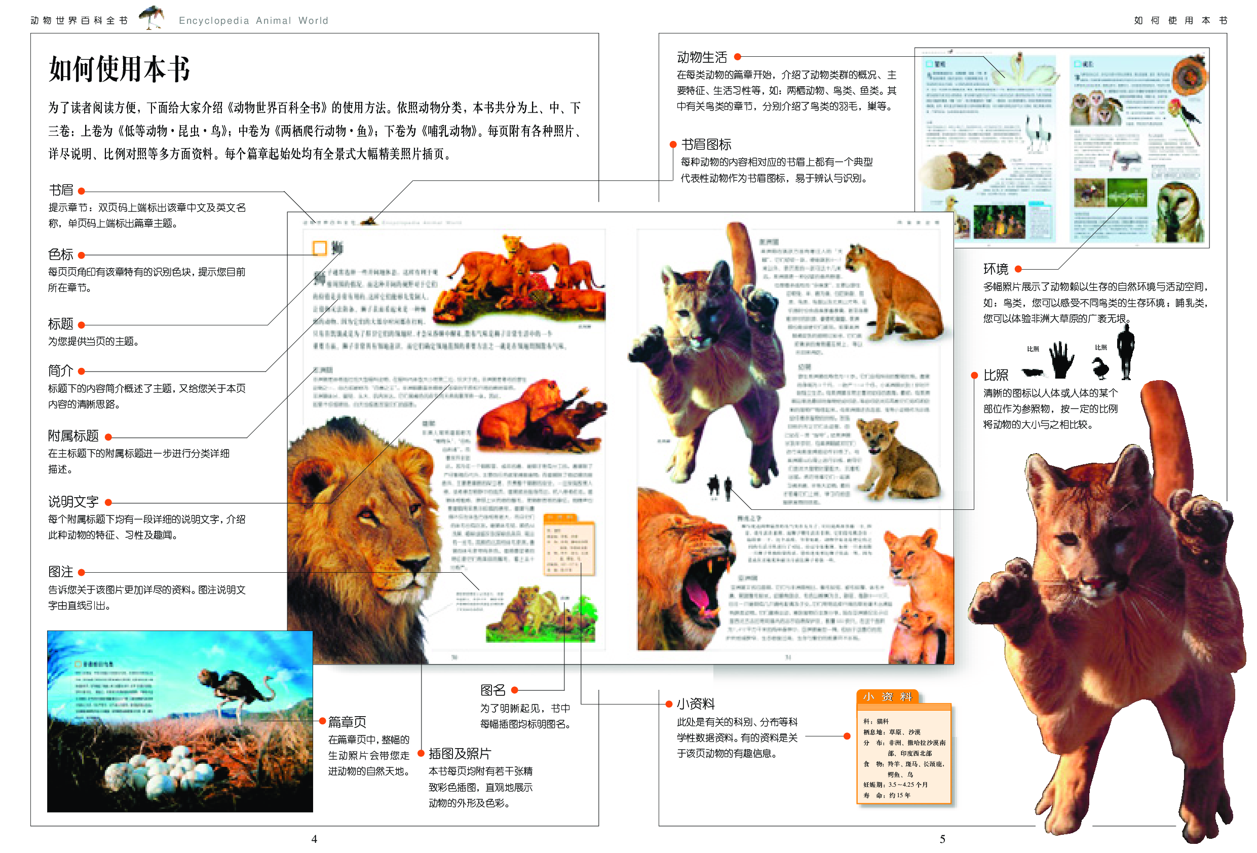 动物世界百科全书.pdf 第5页