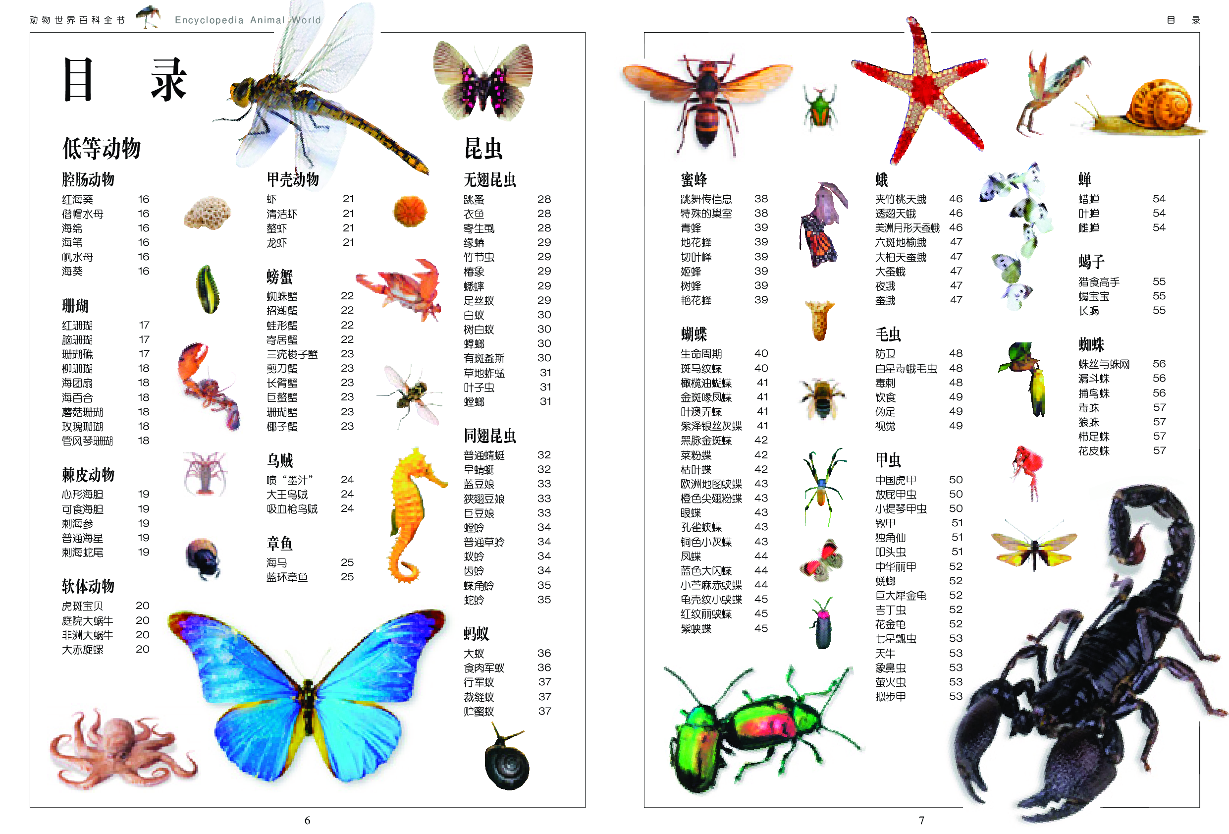 动物世界百科全书.pdf 第6页