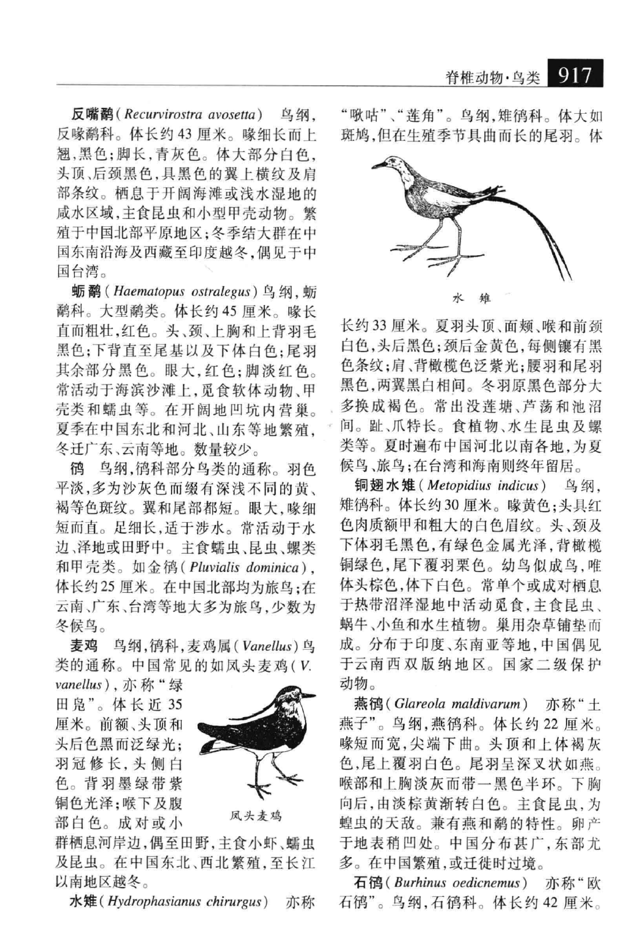 大辞海：生命科学卷_6.pdf 第2页