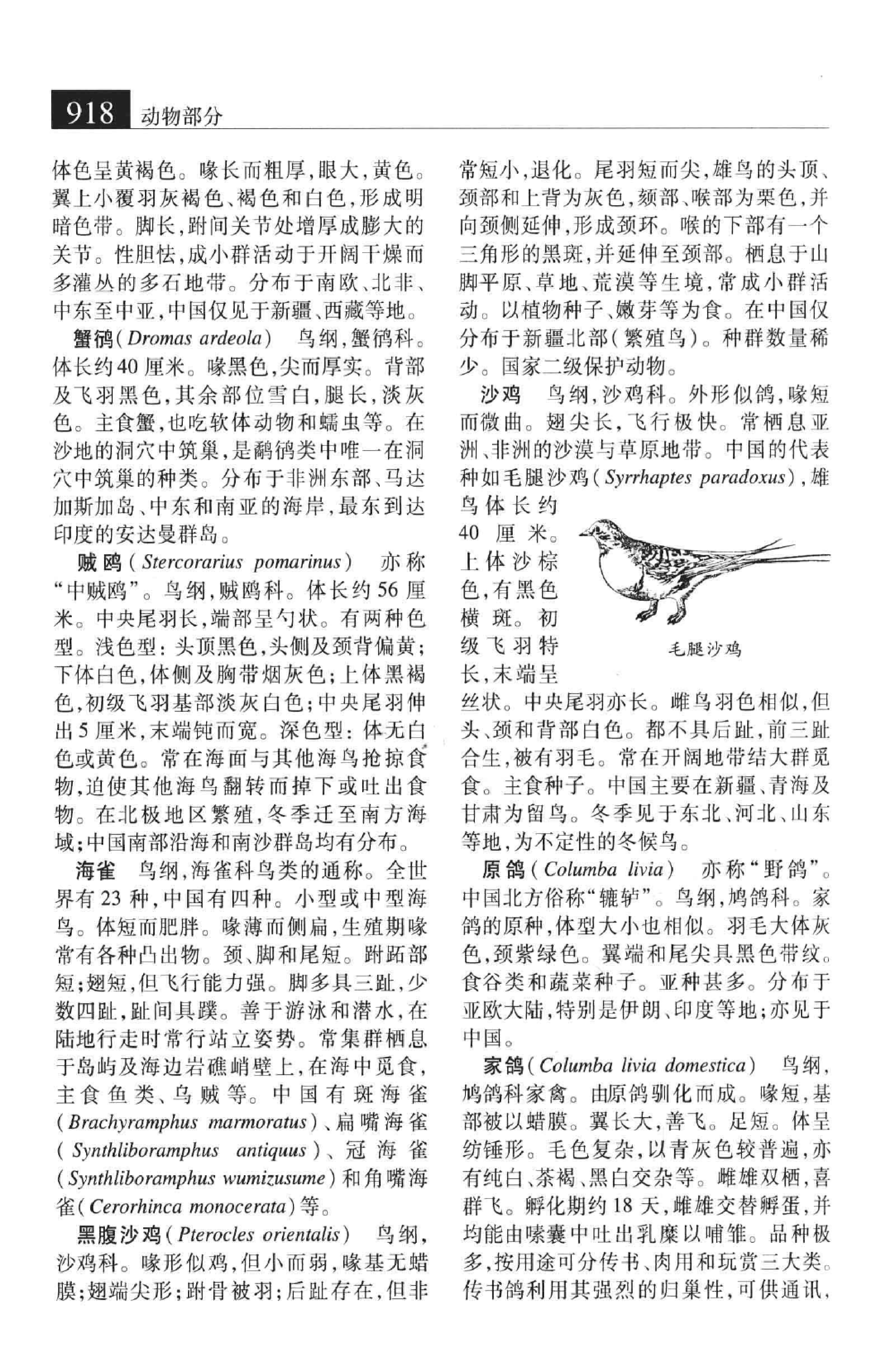 大辞海：生命科学卷_6.pdf 第3页