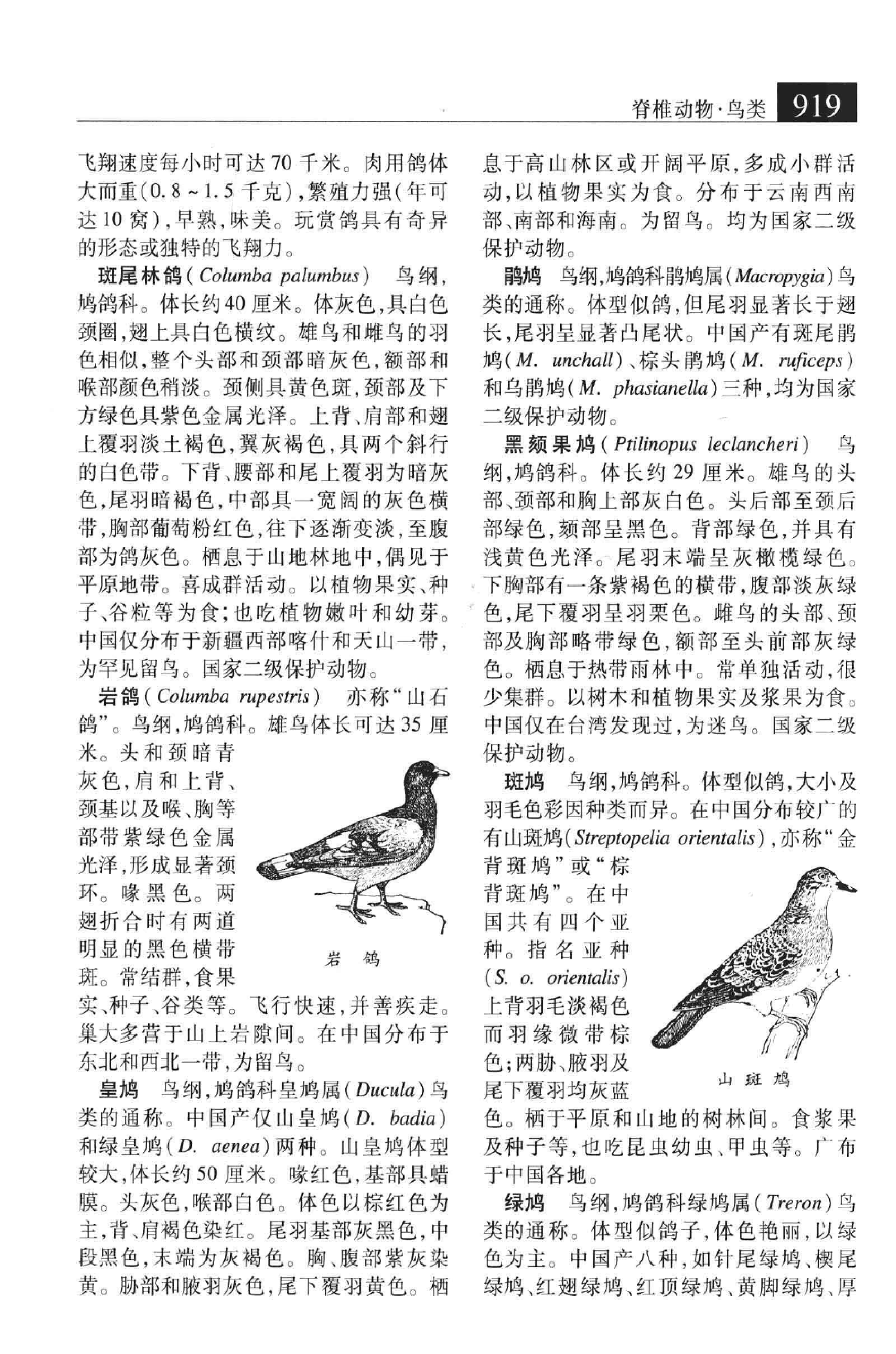 大辞海：生命科学卷_6.pdf 第4页