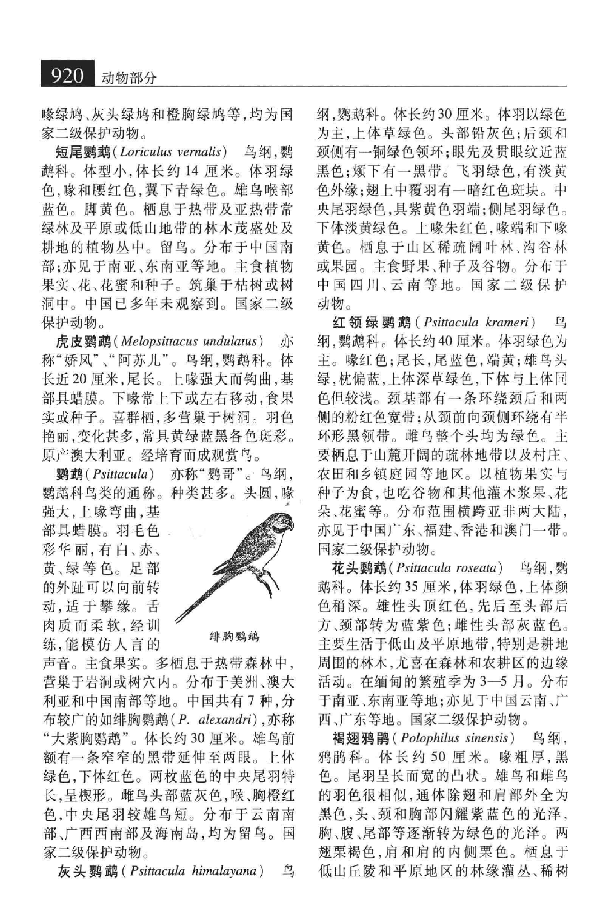 大辞海：生命科学卷_6.pdf 第5页