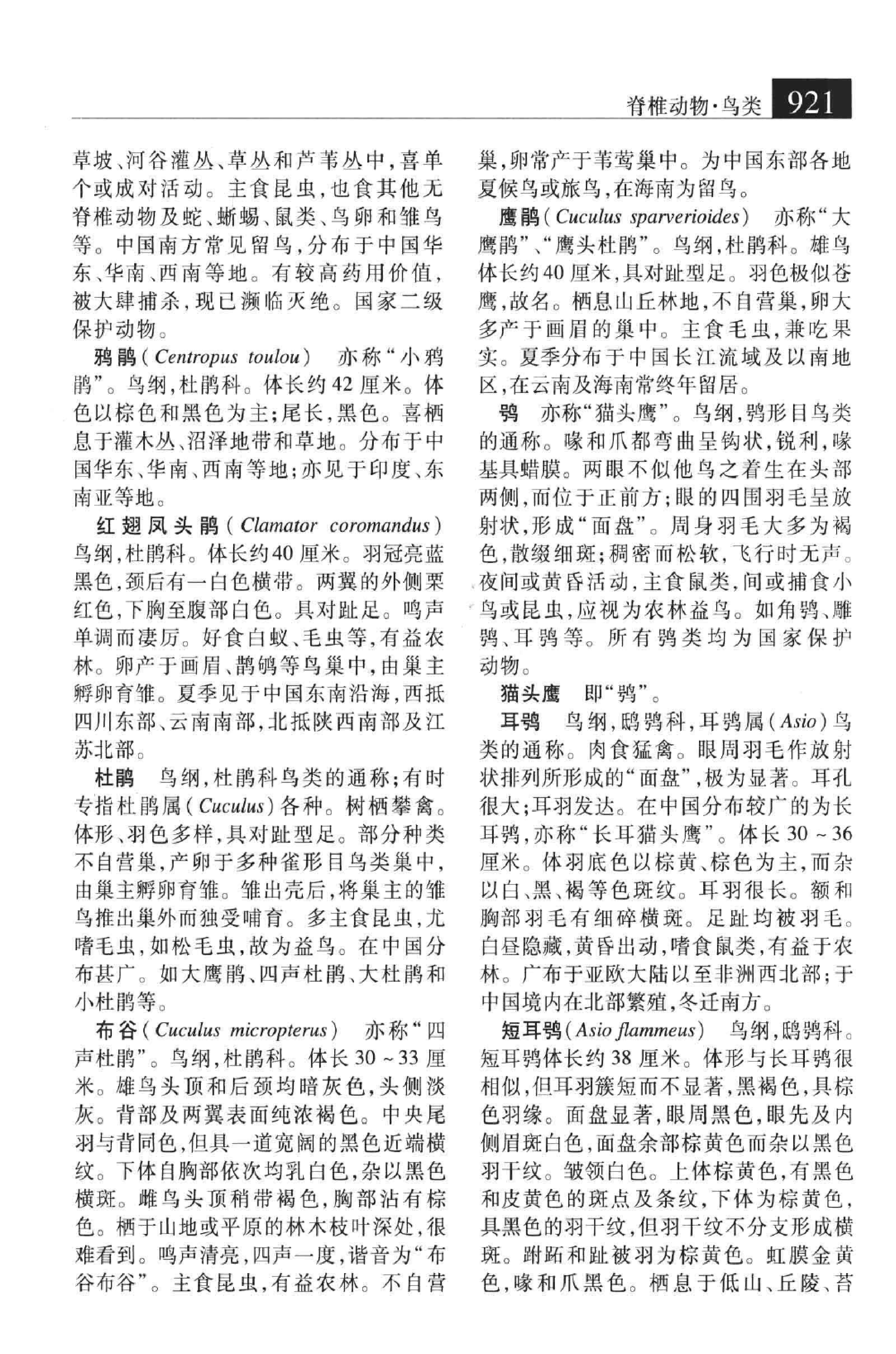 大辞海：生命科学卷_6.pdf 第6页