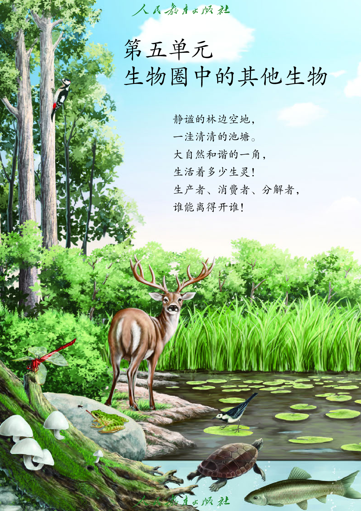 盲校义务教育实验教科书_生物学_八年级_上册（供低视力学生使用）.pdf 第6页