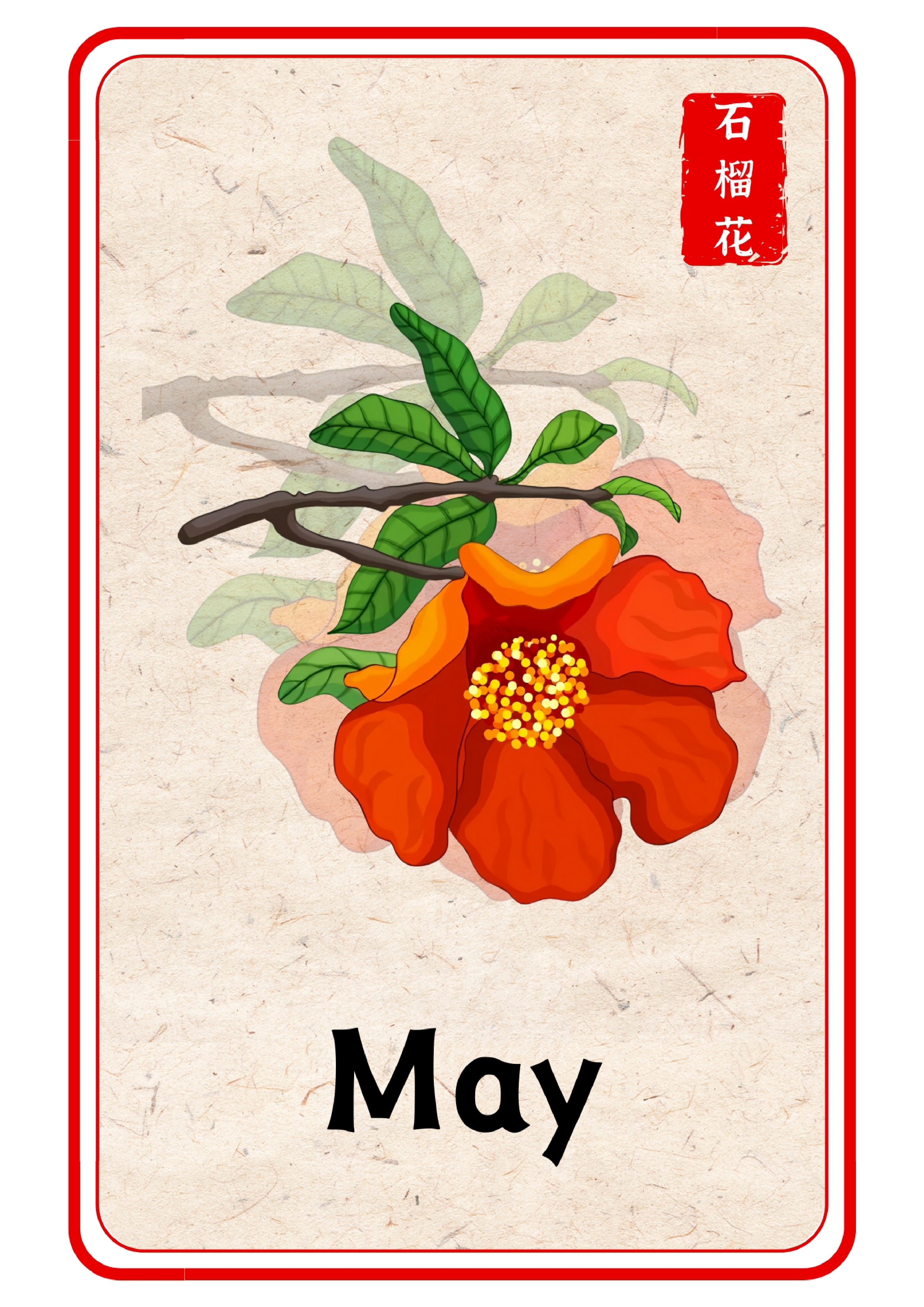 十二月令花单词卡.pdf 第5页