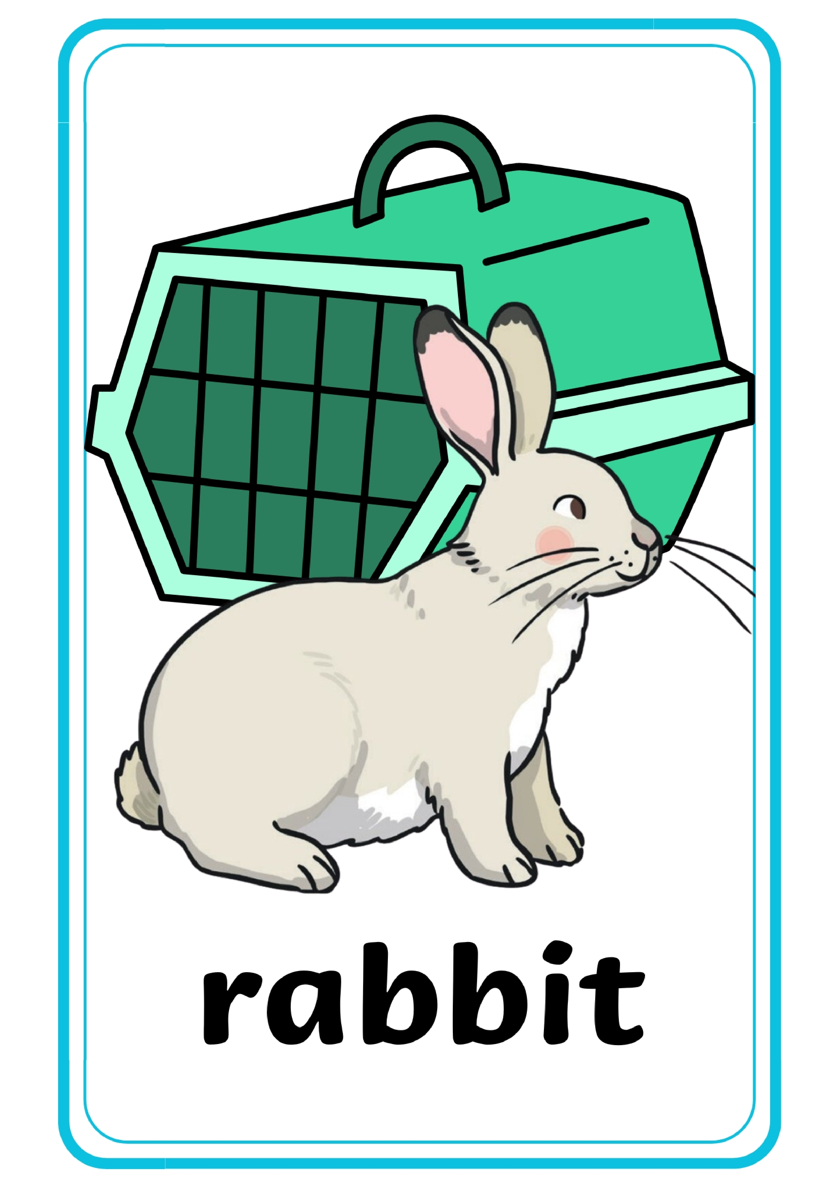 宠物单词卡x10.pdf 第1页