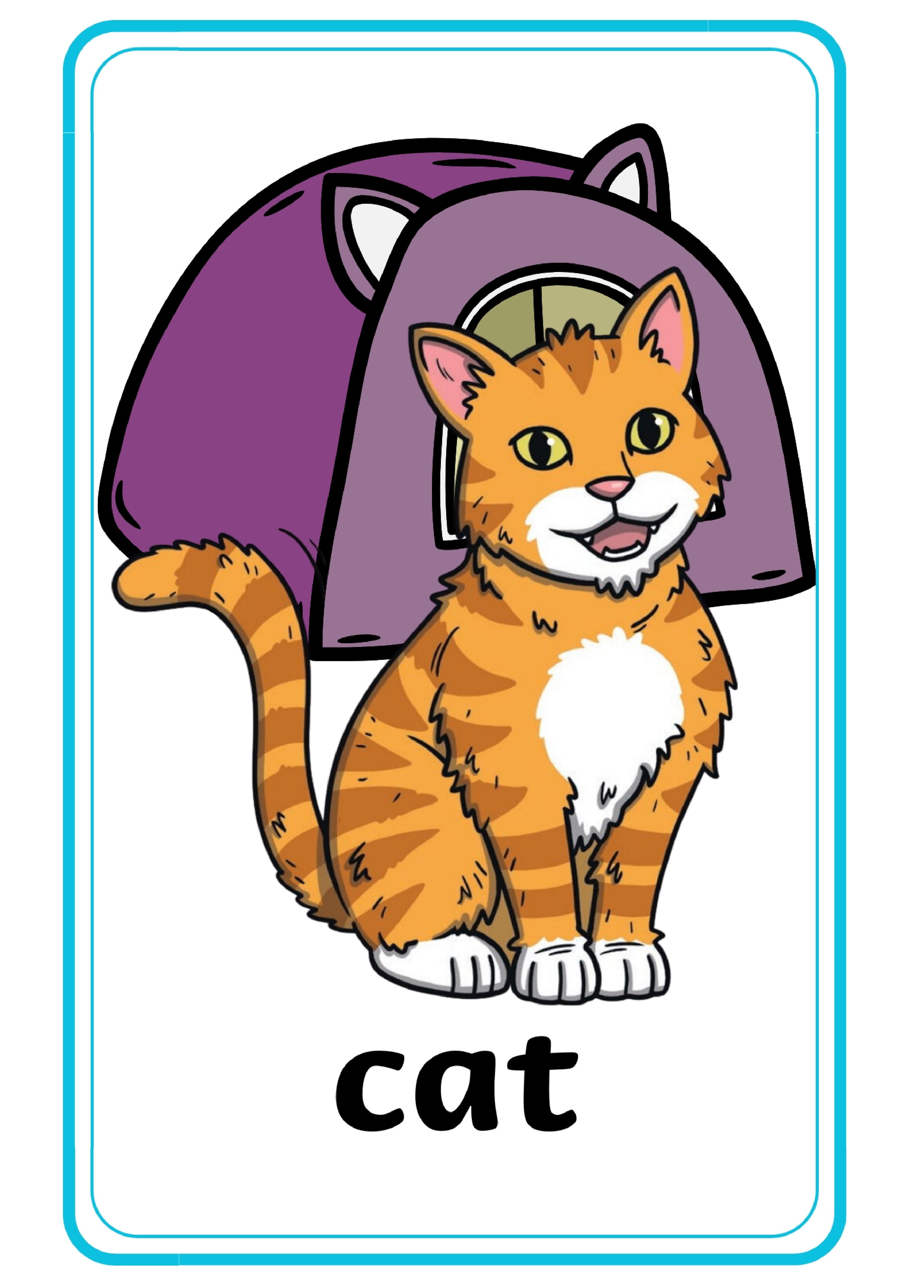 宠物单词卡x10.pdf 第3页