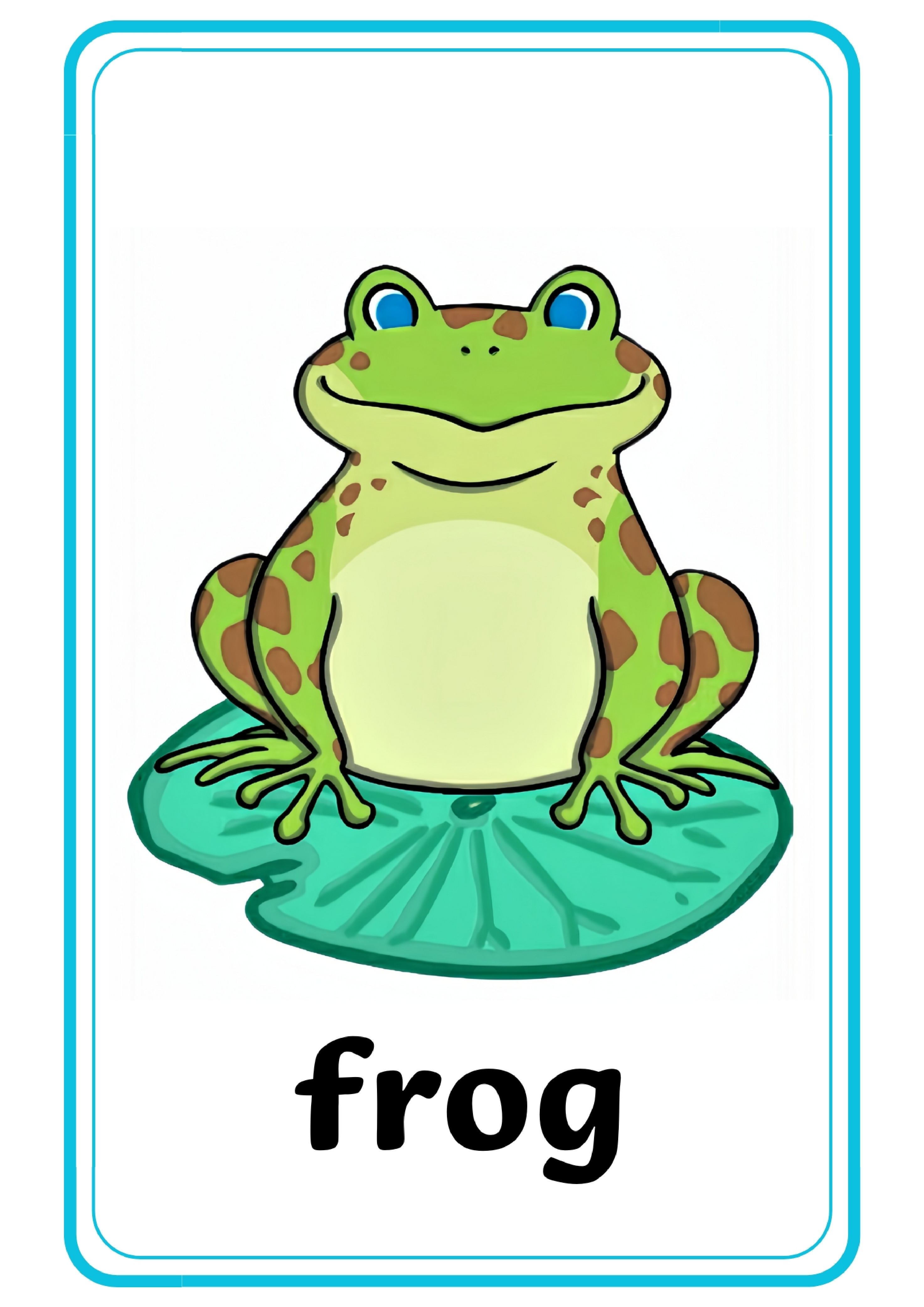 宠物单词卡x10.pdf 第4页