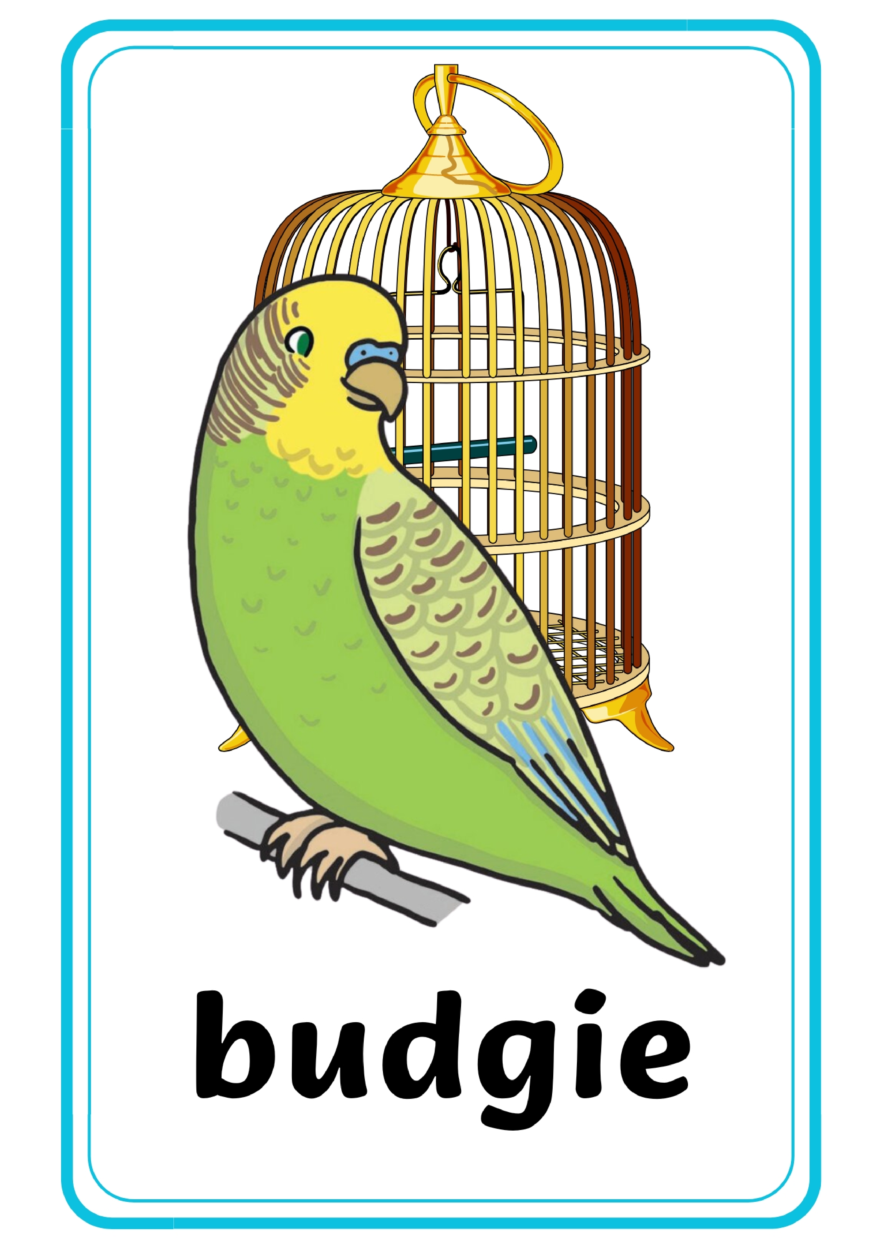 宠物单词卡x10.pdf 第5页