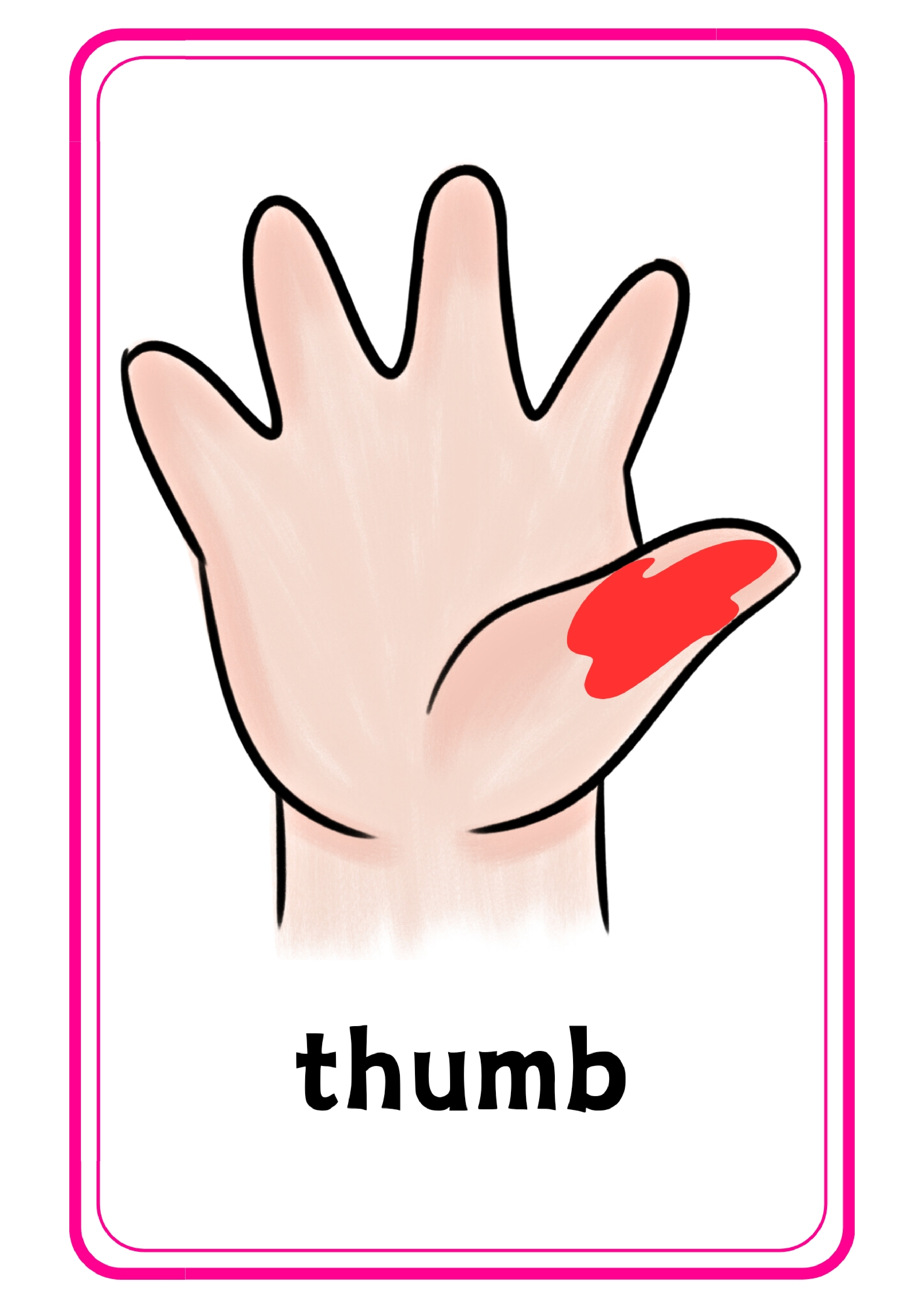 My Hand手指手掌主题单词卡x8.pdf 第2页