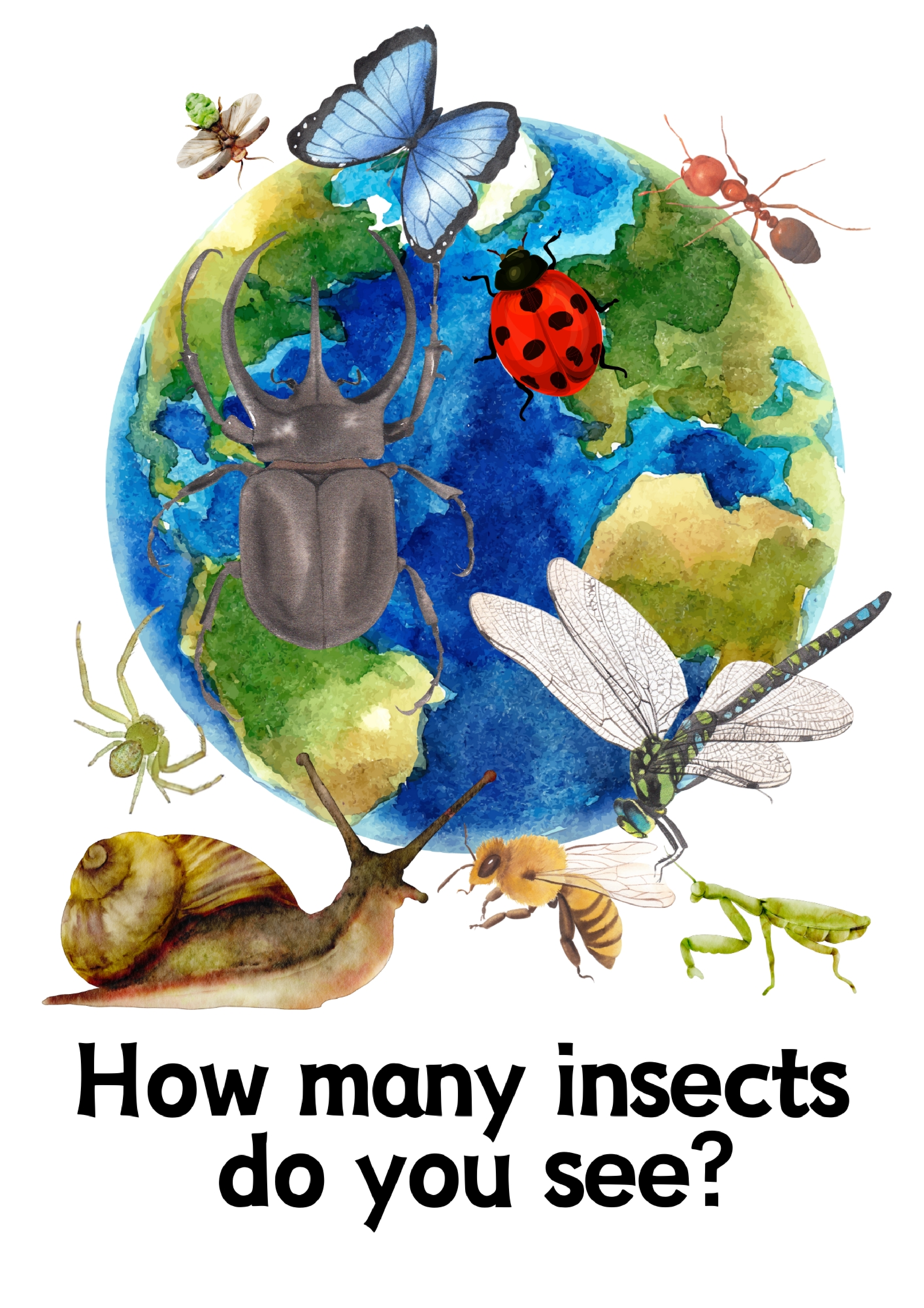 Insects昆虫数量单词卡.pdf 第1页